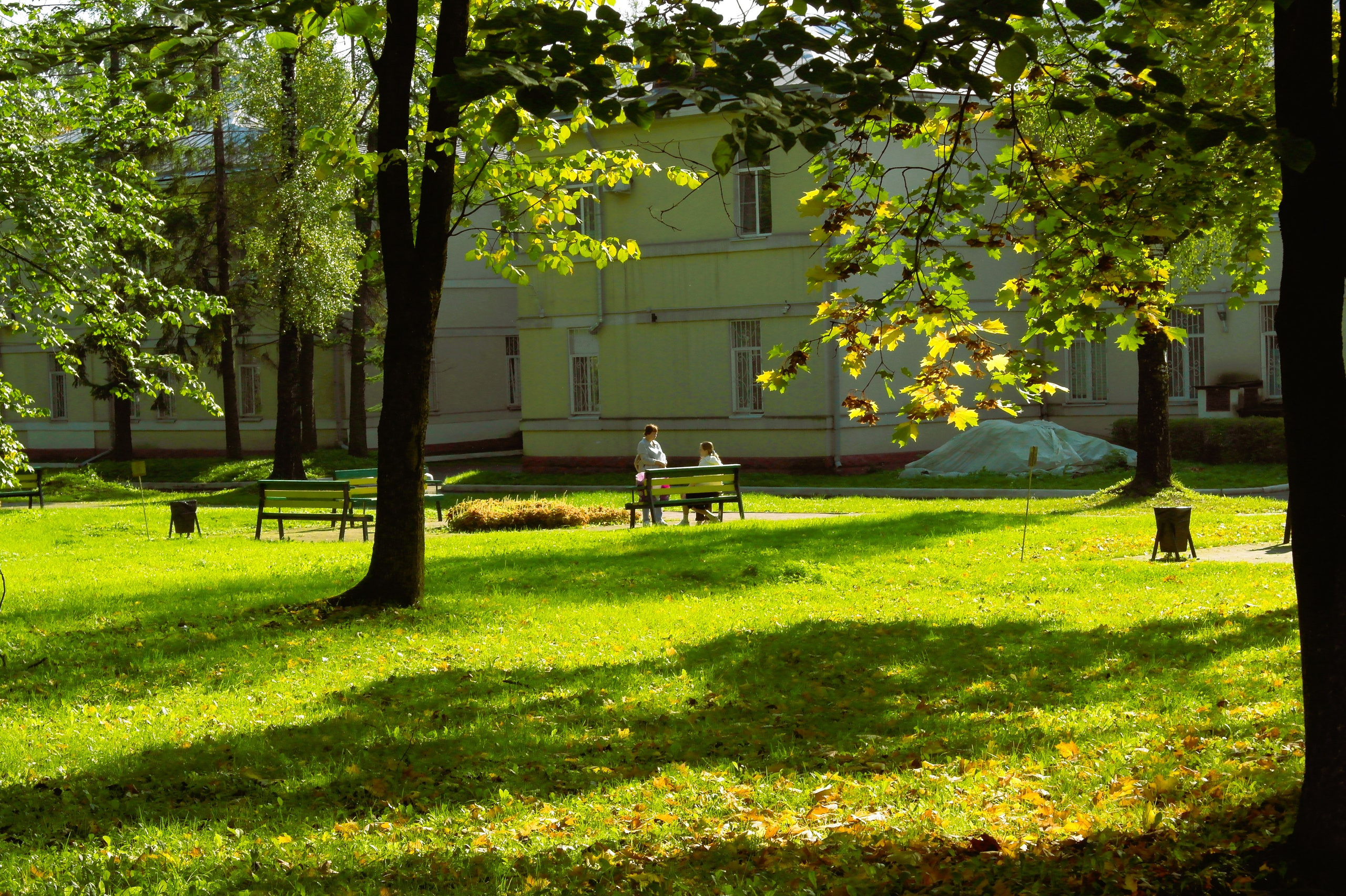 Сентябрь 2025. Den Mirov — Фотограф, Музыкант