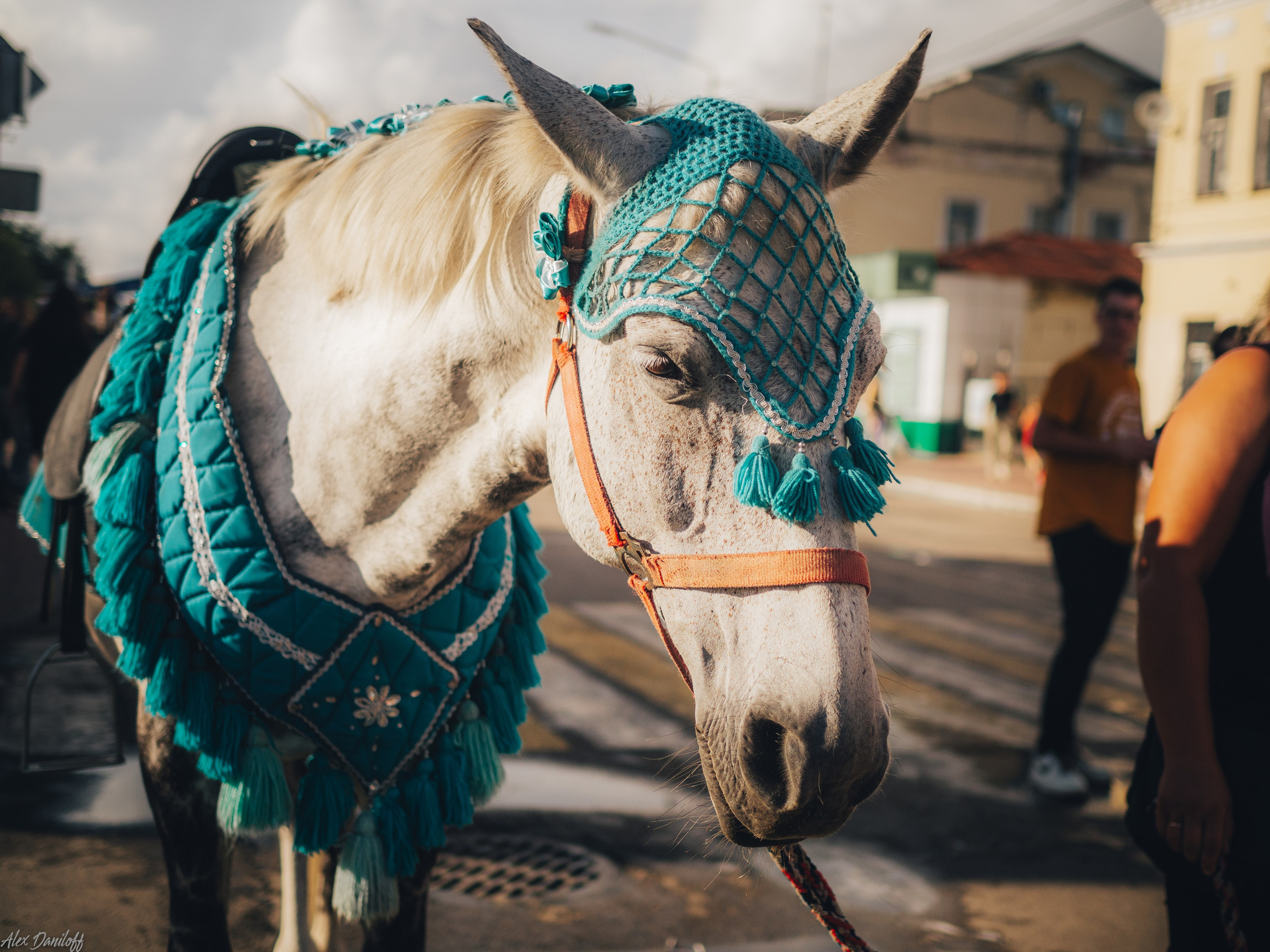 День города. Муром. 2024. Муром-Инфо. Новости культуры, образования, спорта в городе Муром
