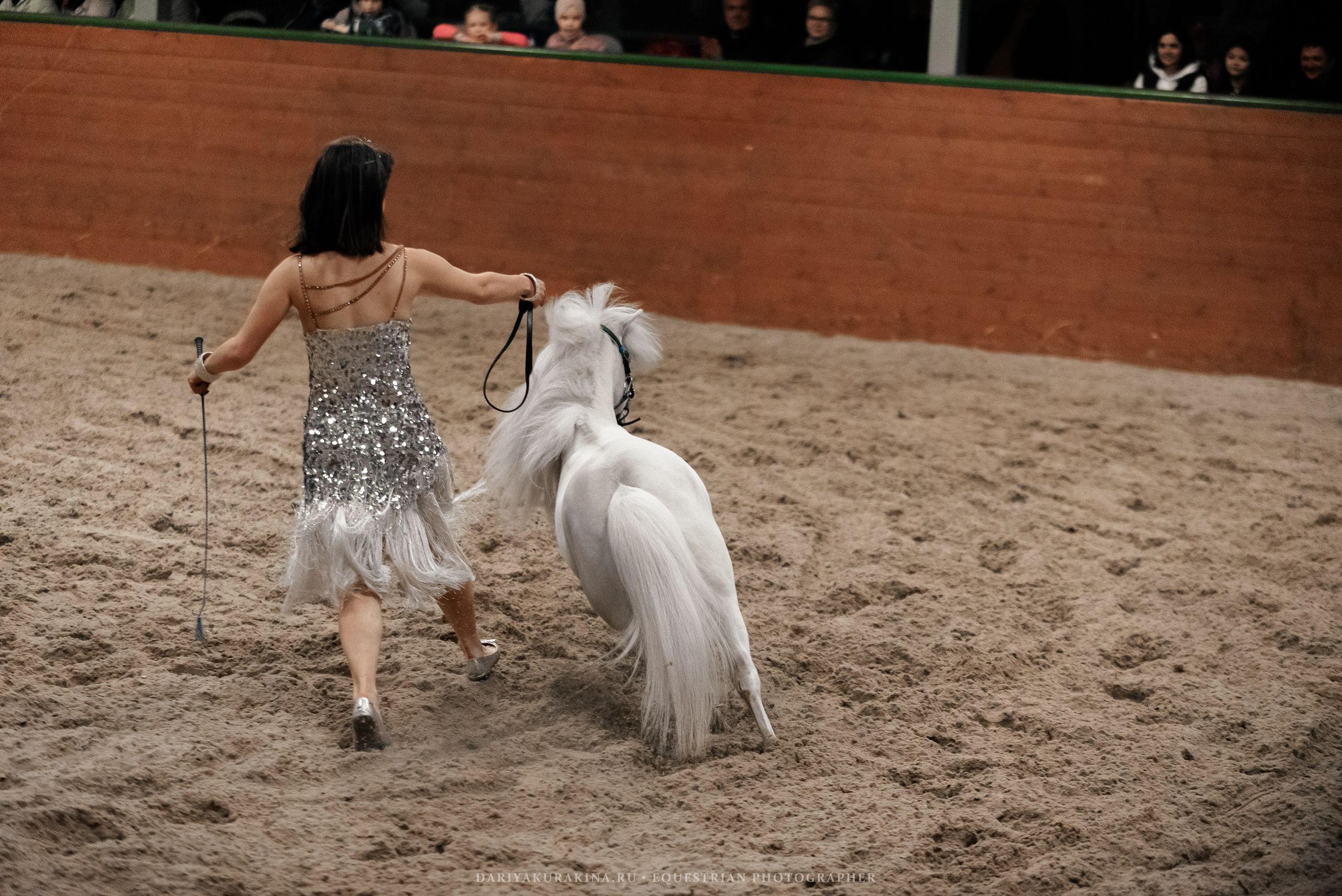 Конное представление «Дыхание Звёзд». Конный фотограф Куракина Дарья • Фотосессии с лошадьми