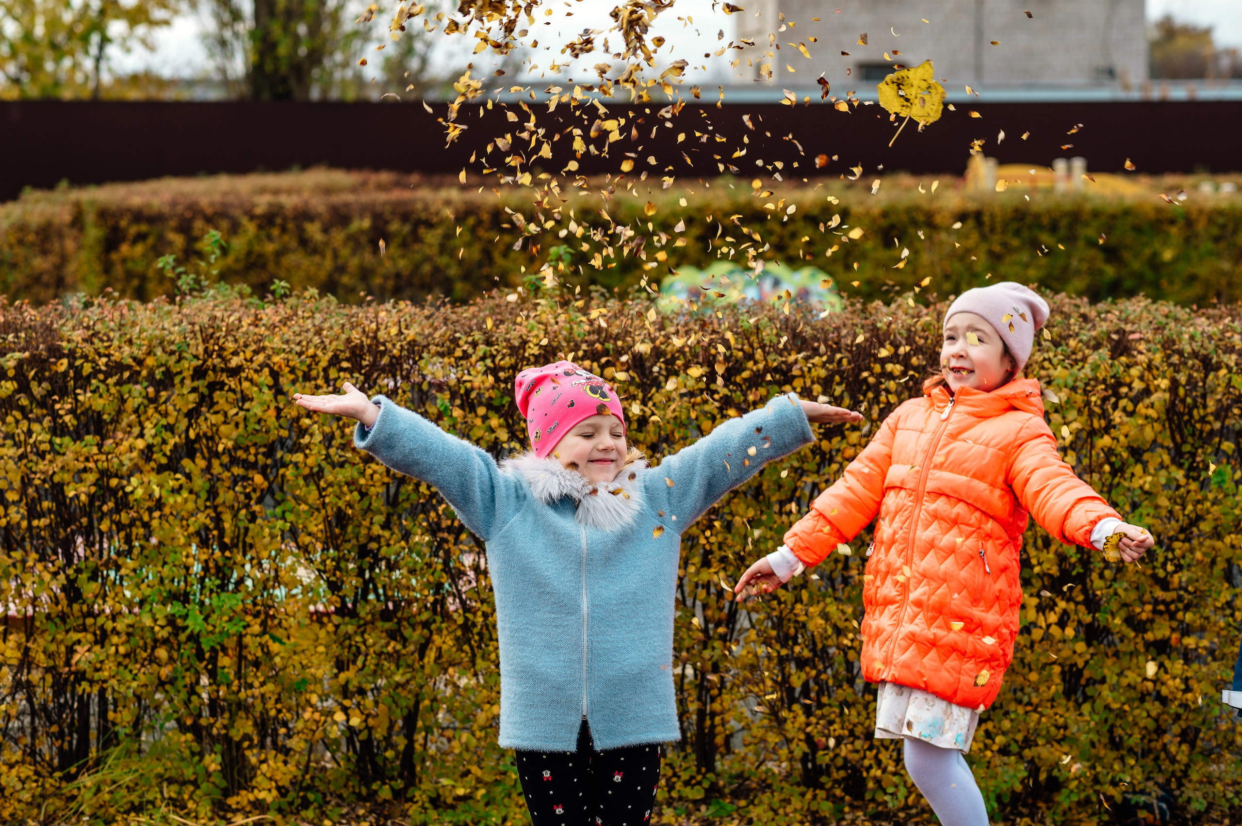 Детский сад
