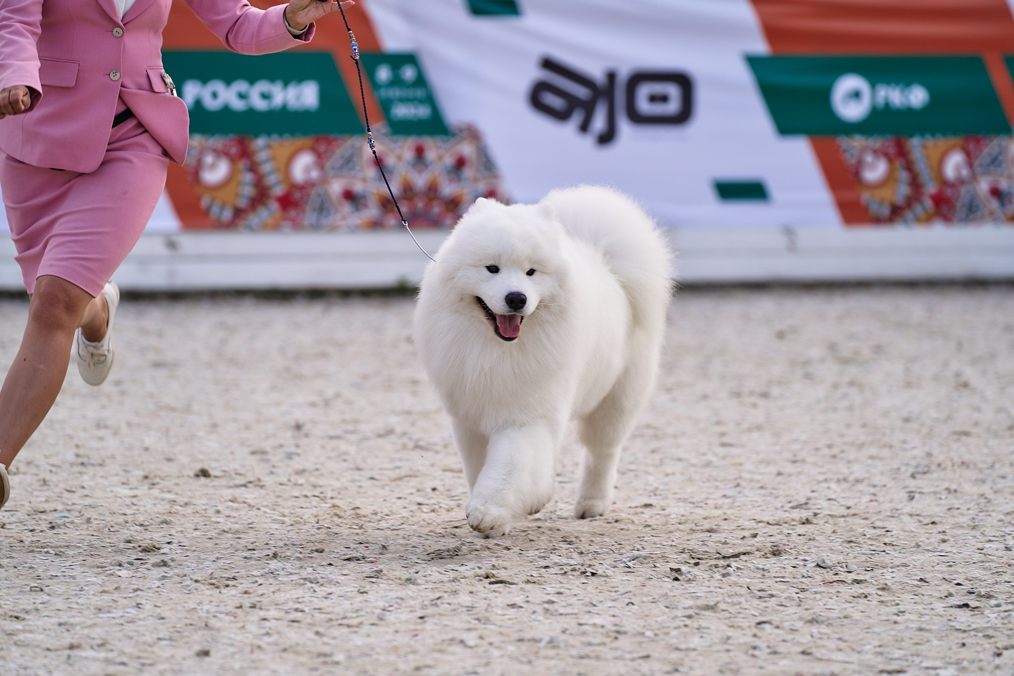 09.06.2024, «РОССИЯ. КУБОК МОСКВЫ 2024 & КУБОК ГОРОДОВ-ГЕРОЕВ»