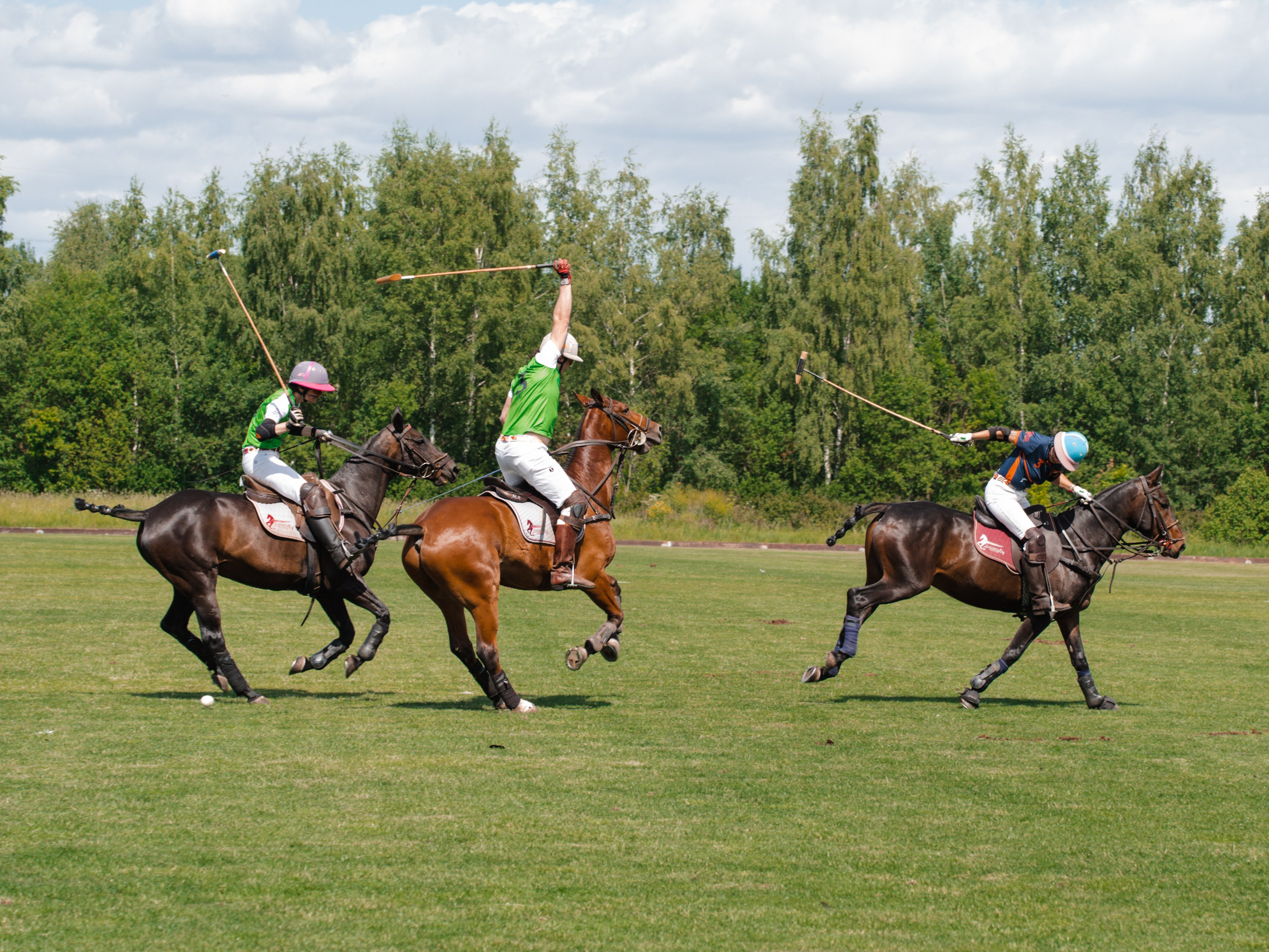 Конное поло. Фотограф Зинаида Евдокимова