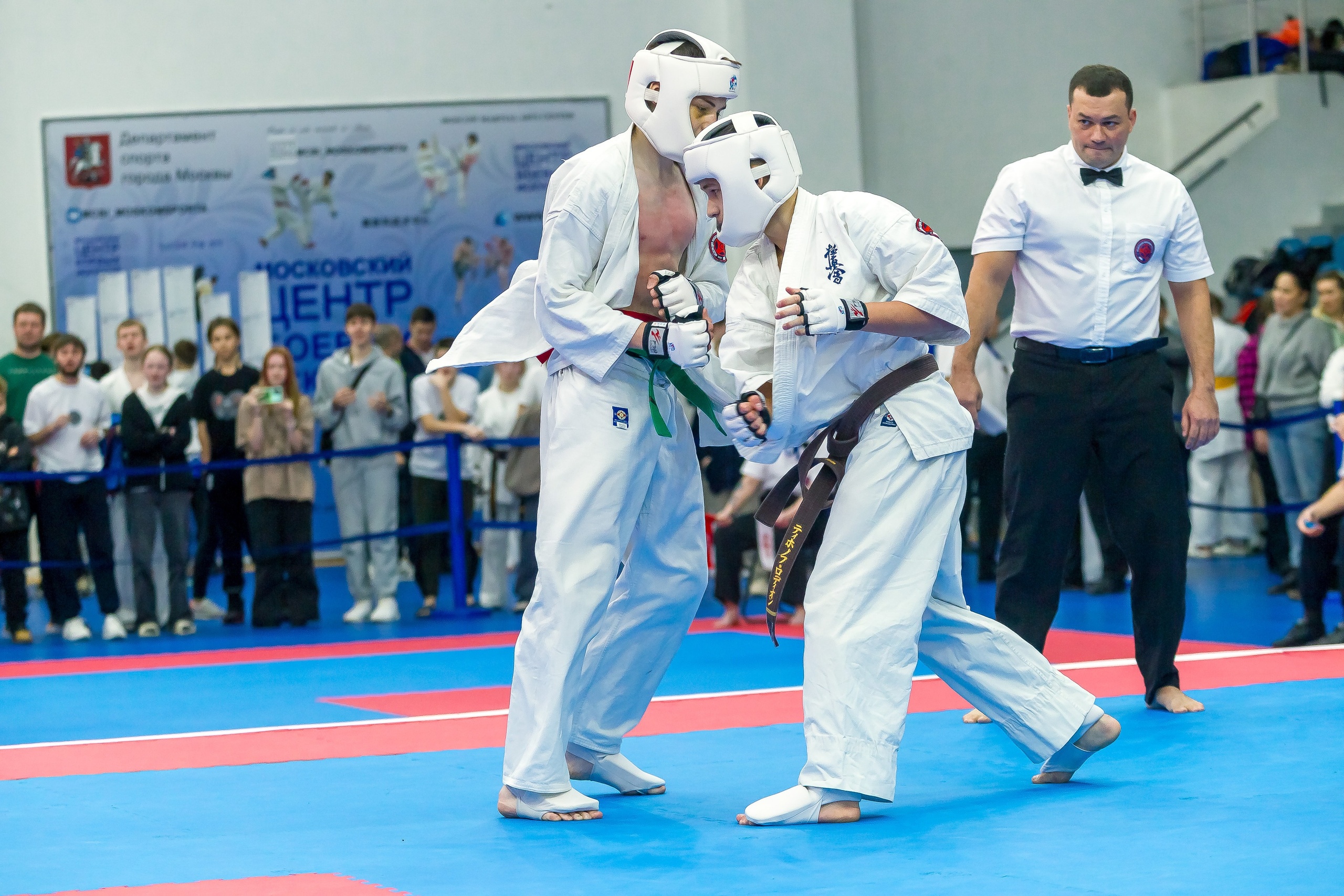 Соревнования по Киокушин памяти С. Увицкого. Репортажная съемка в Москве и области. Анималистика
