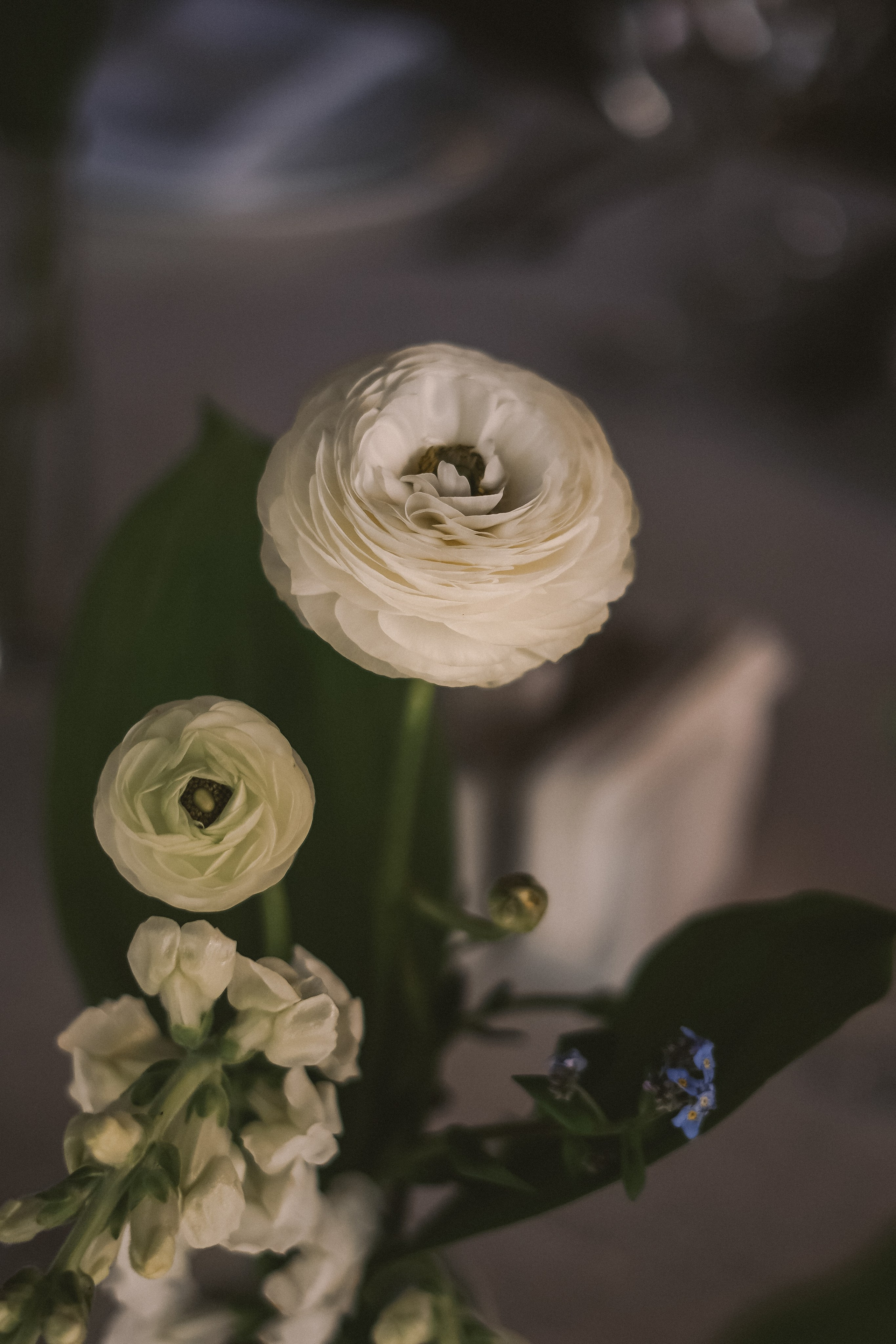 Дим и Лера. Фотограф Валерия Крахмалева