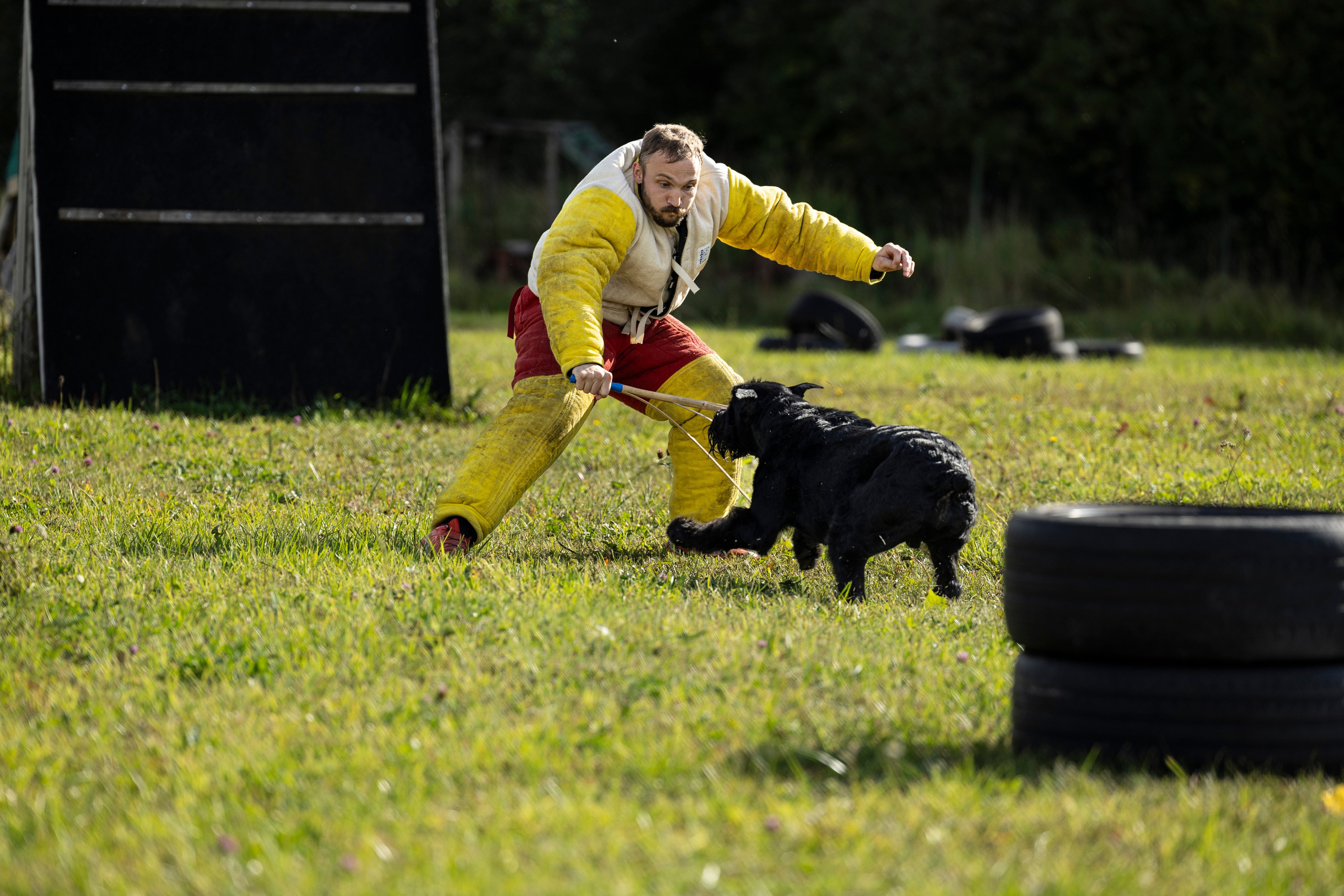 Испытания по Мондьорингу г. Пушкин. Фотограф-анималист Анна Маринич