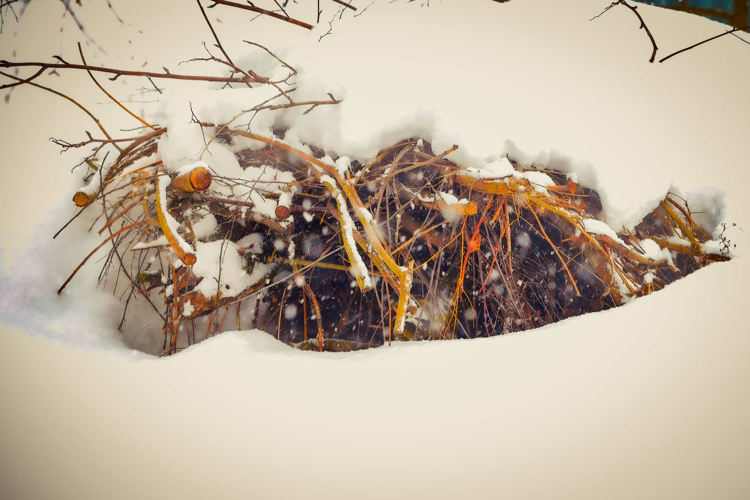 Живая планета. Фотограф художник модель Юра Козлов Москва