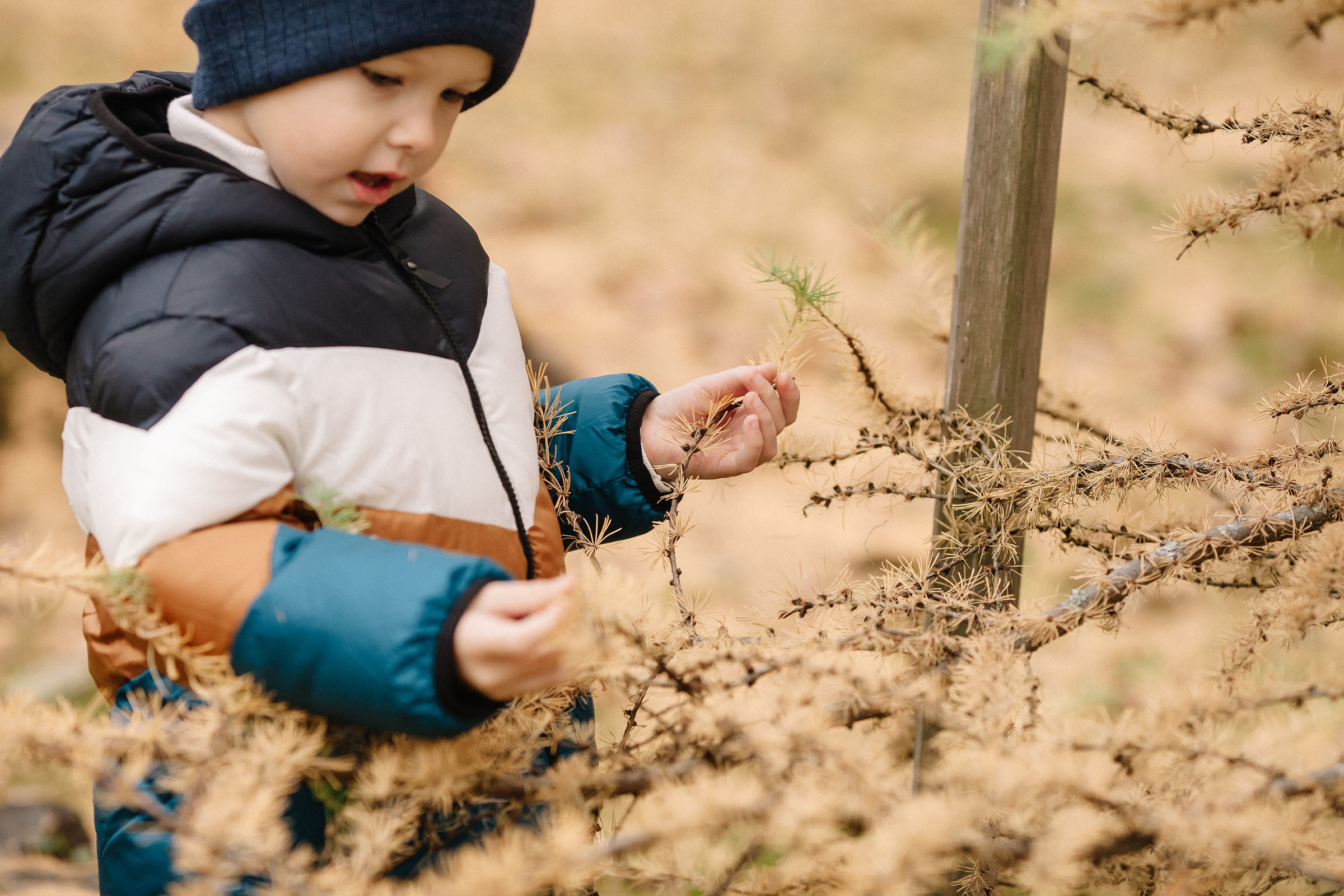 Елагин остров. Семейный и свадебный фотограф в Майкопе Михаил Мартиросян