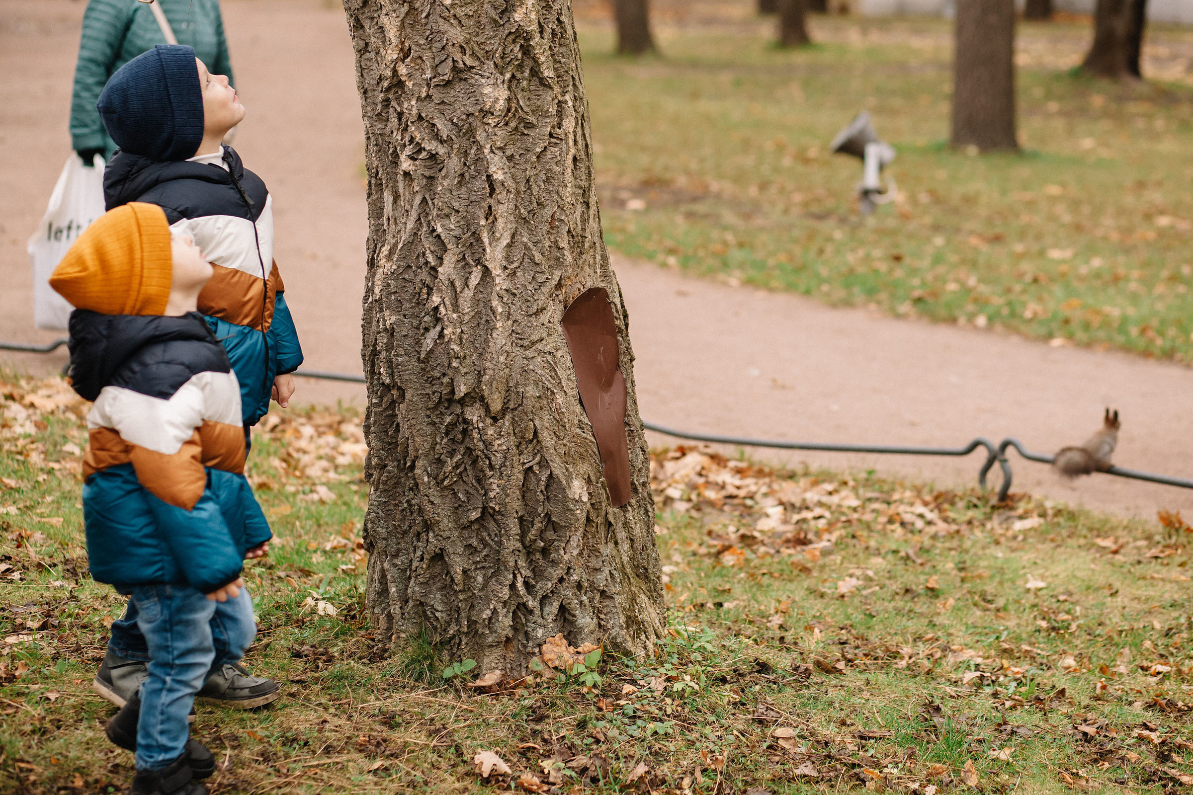 Елагин остров. Семейный и свадебный фотограф в Майкопе Михаил Мартиросян