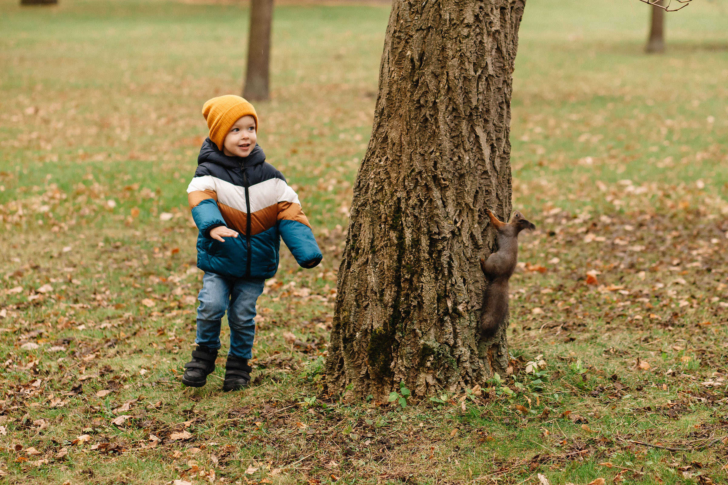 Елагин остров. Семейный и свадебный фотограф в Майкопе Михаил Мартиросян