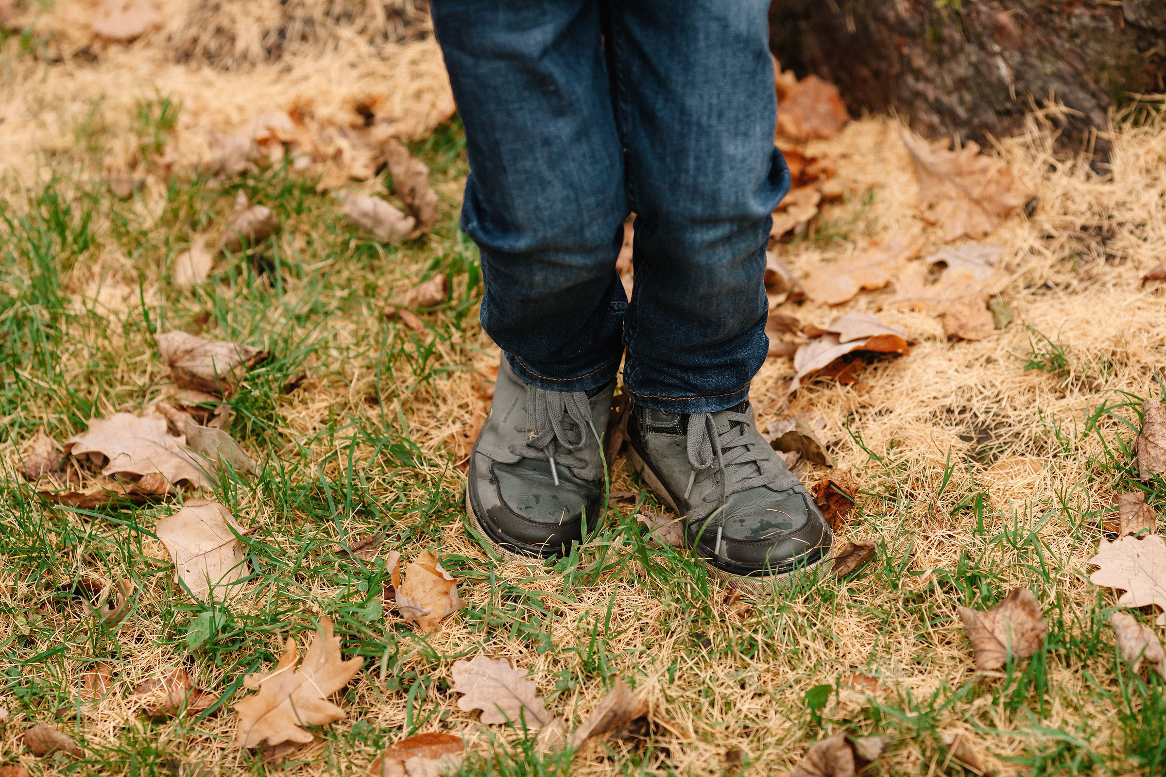 Елагин остров. Семейный и свадебный фотограф в Майкопе Михаил Мартиросян