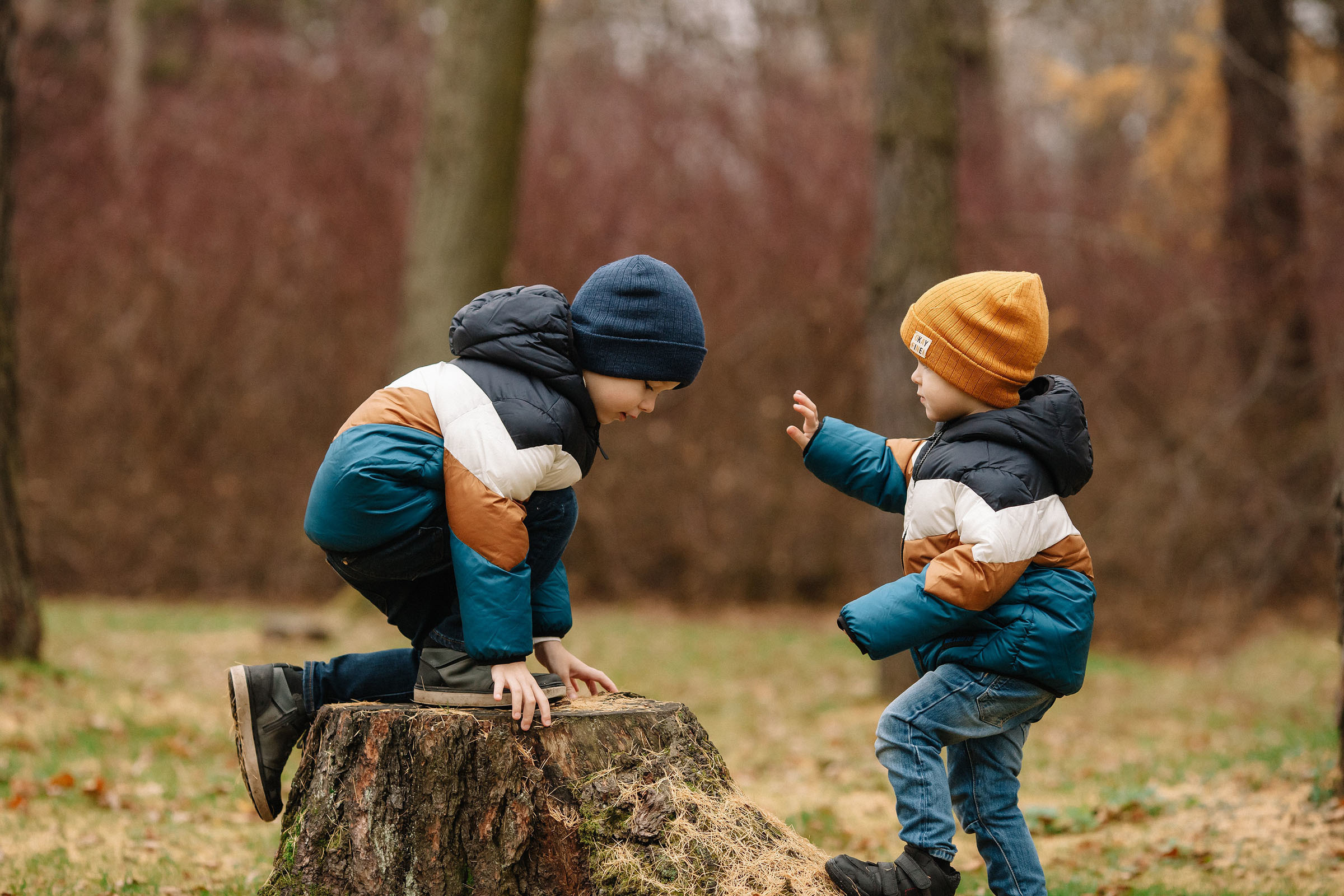 Елагин остров. Семейный и свадебный фотограф в Майкопе Михаил Мартиросян