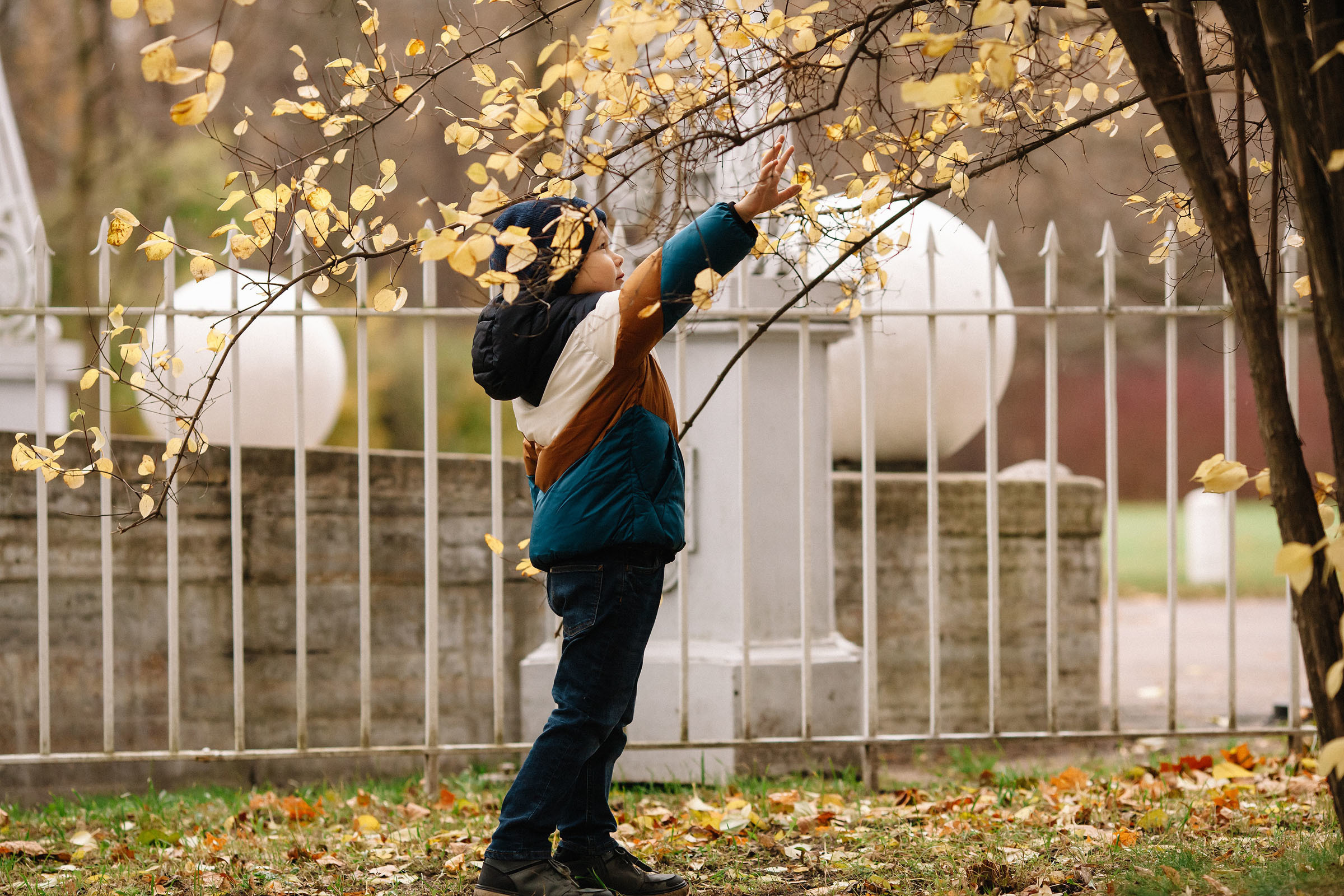 Елагин остров. Семейный и свадебный фотограф в Майкопе Михаил Мартиросян