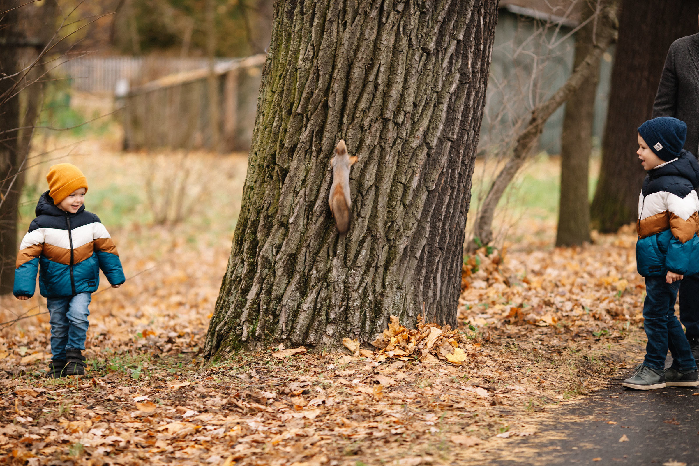 Елагин остров. Семейный и свадебный фотограф в Майкопе Михаил Мартиросян