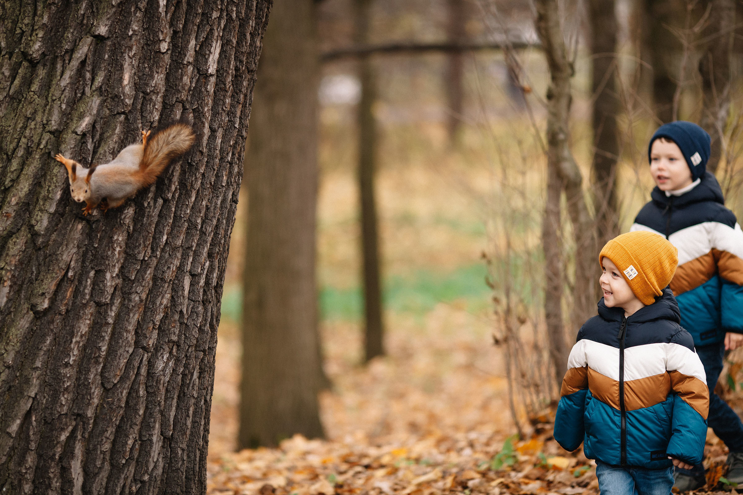 Елагин остров. Семейный и свадебный фотограф в Майкопе Михаил Мартиросян