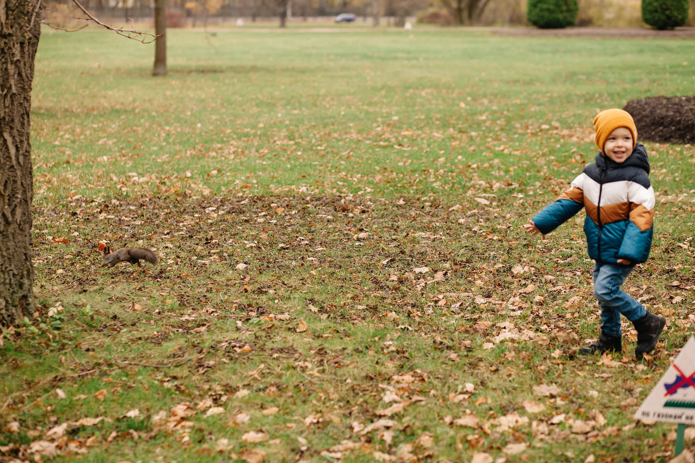 Елагин остров. Семейный и свадебный фотограф в Майкопе Михаил Мартиросян