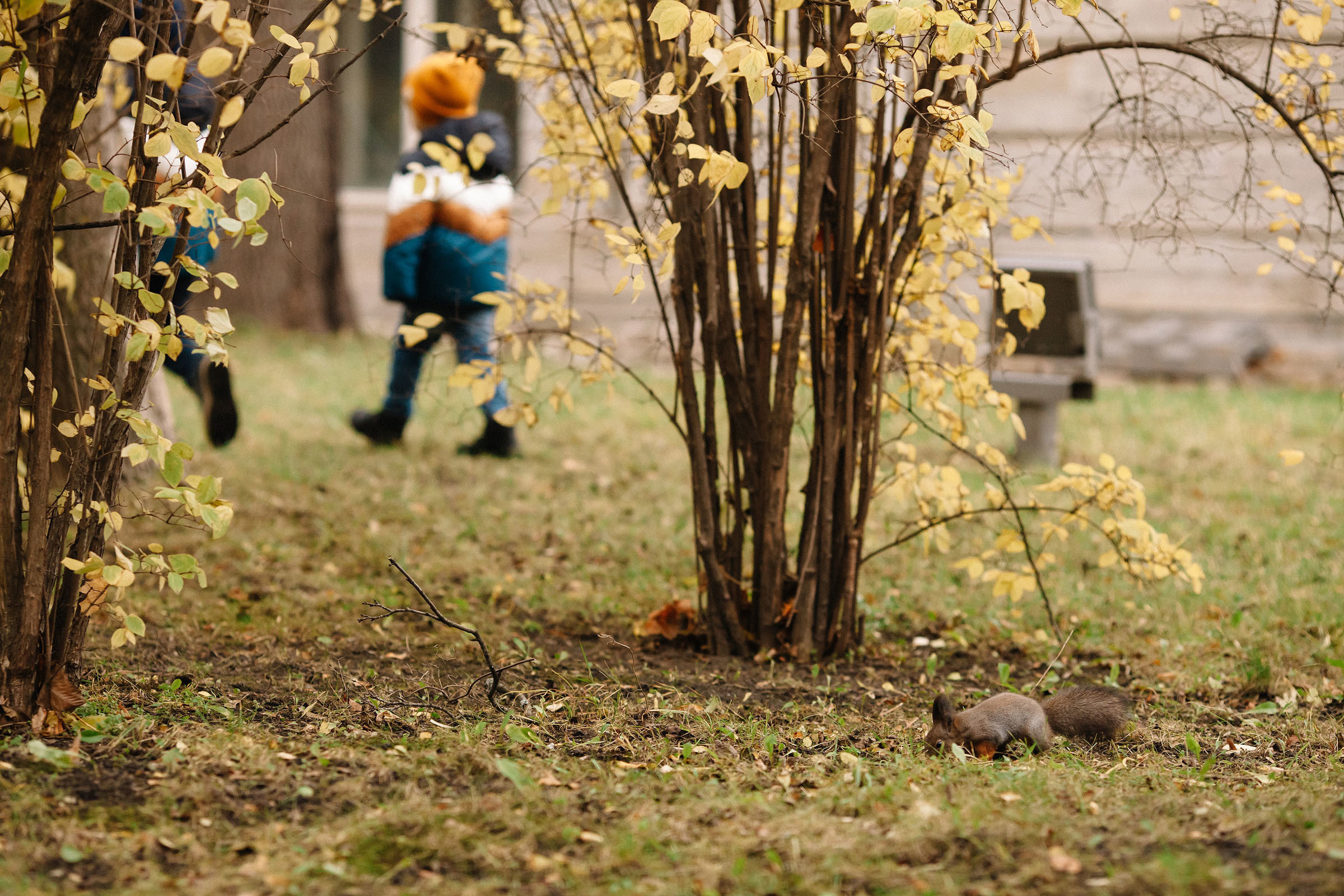 Елагин остров. Семейный и свадебный фотограф в Майкопе Михаил Мартиросян