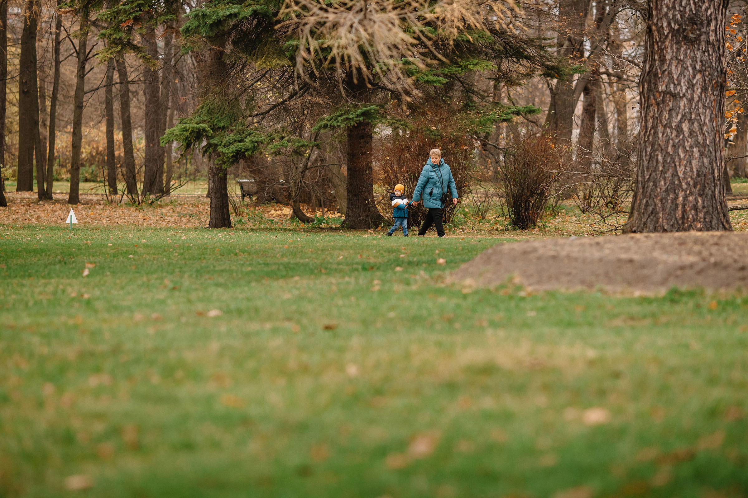 Елагин остров. Семейный и свадебный фотограф в Майкопе Михаил Мартиросян