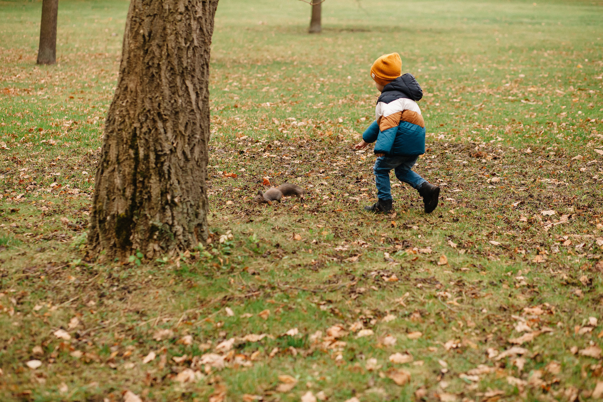 Елагин остров. Семейный и свадебный фотограф в Майкопе Михаил Мартиросян