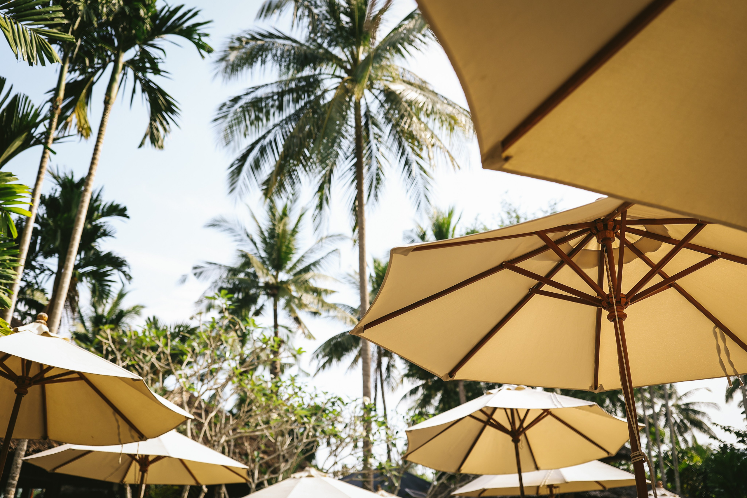 Thailand / Ban Sainai Resort. Ekaterina Buneeva Photography