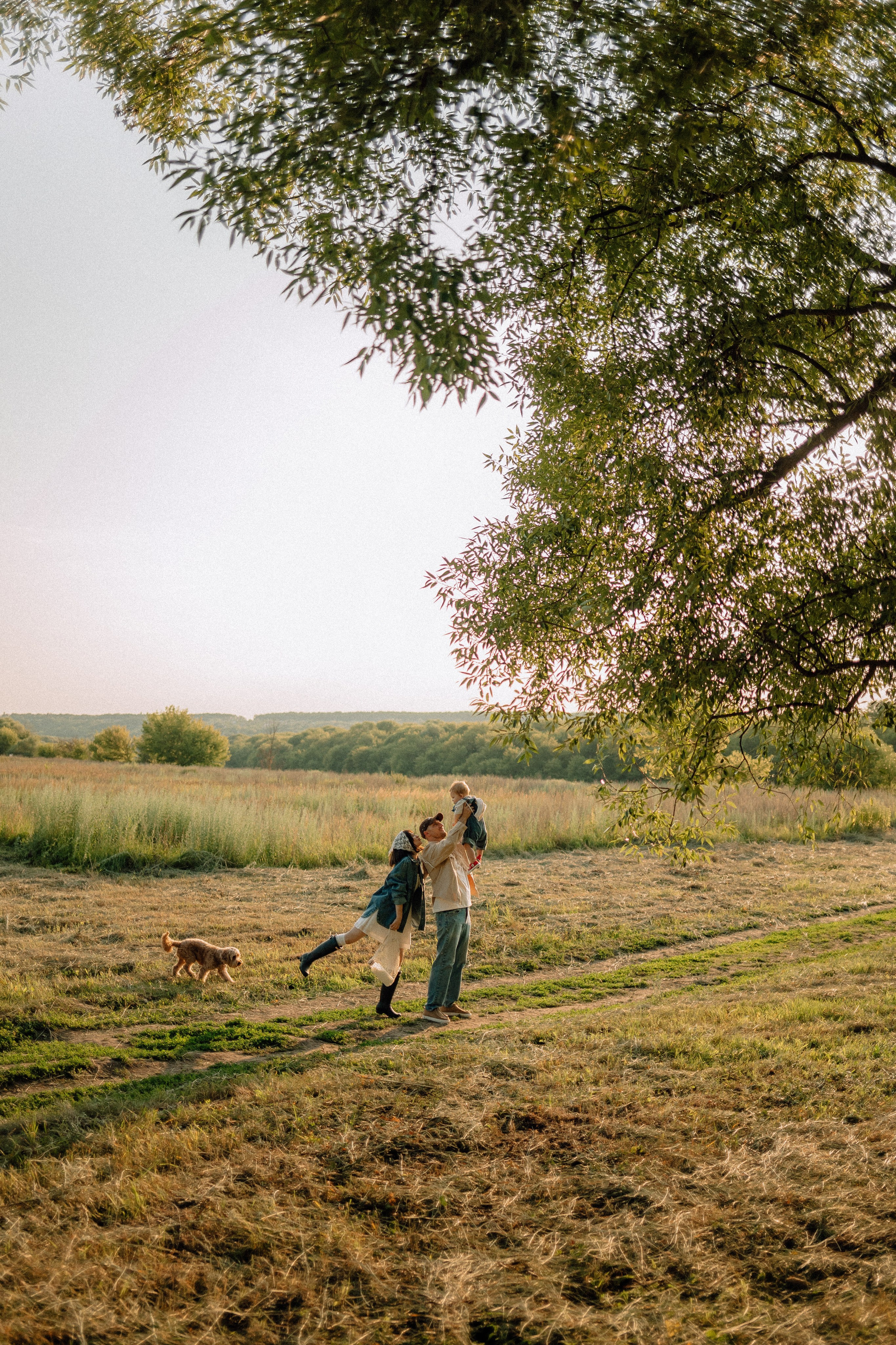 Теплым вечером