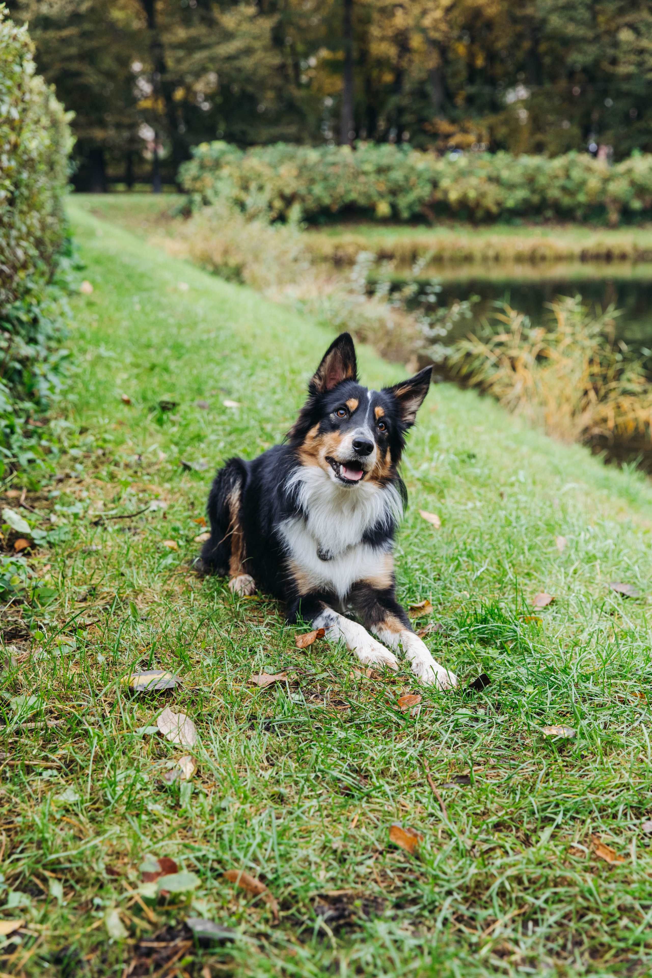 Вольт. Свадебный и семейный фотограф в Санкт-Петербурге Лолита Евстифеева