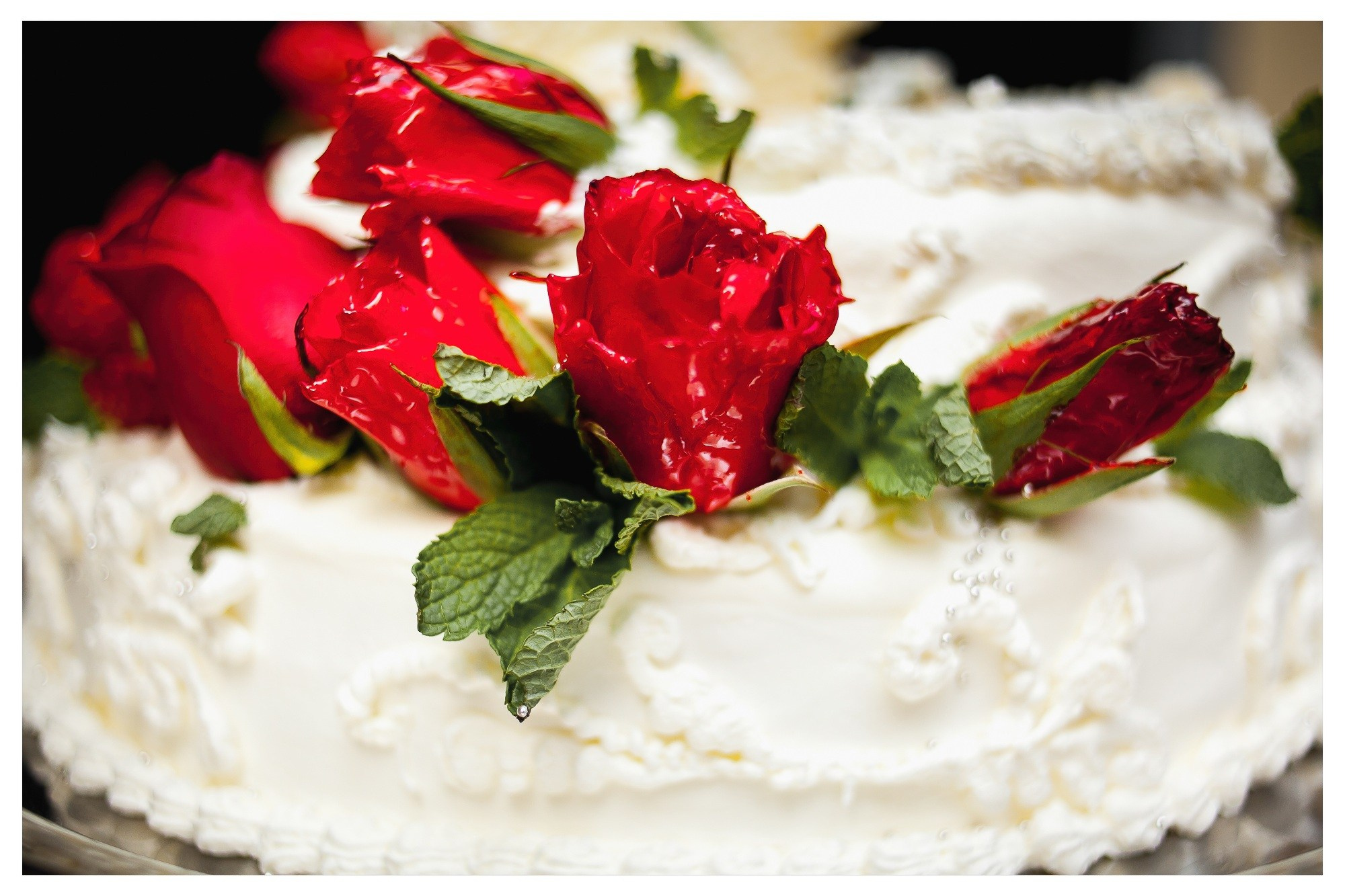 Свадьба Антона и Оли. Фотограф Георгий Сапожников