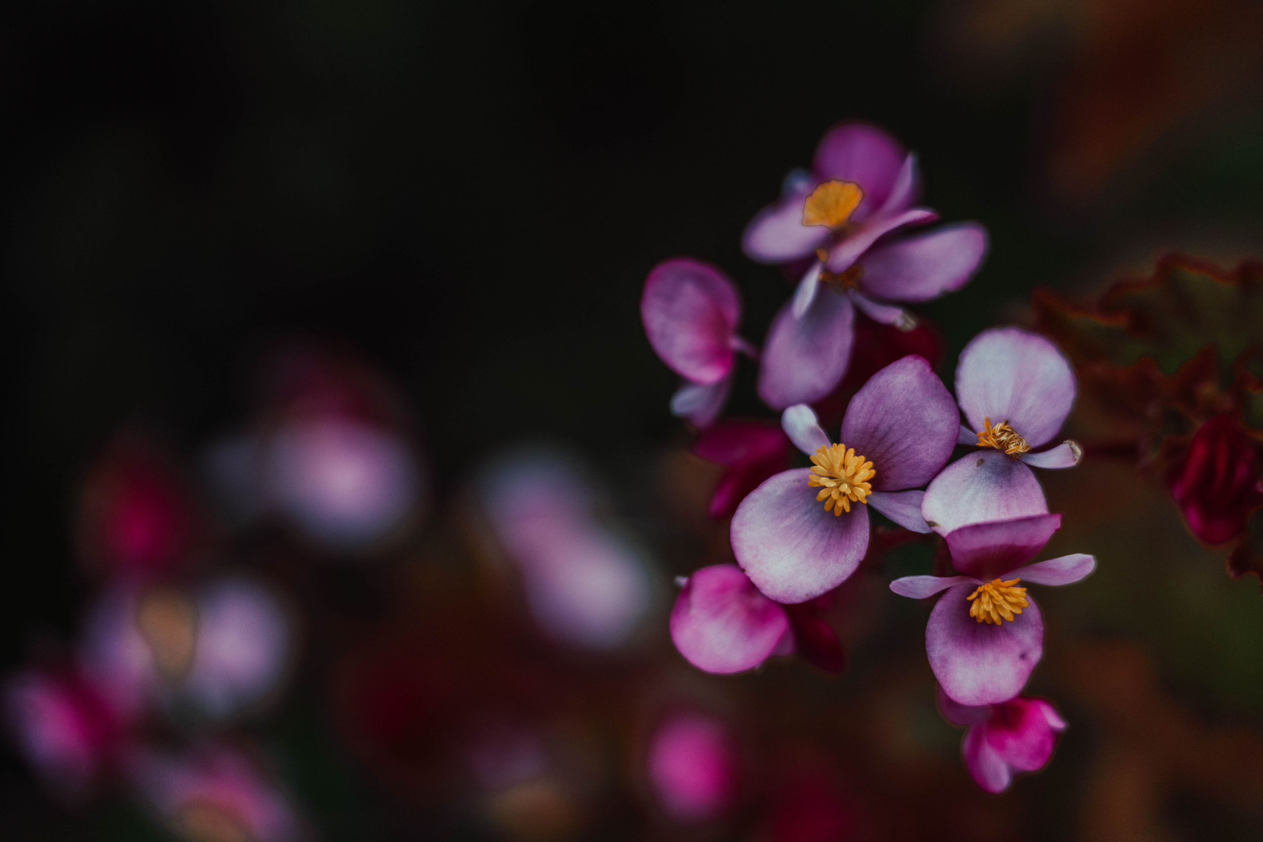 Усть-Каменогорск, Сентябрь 2024