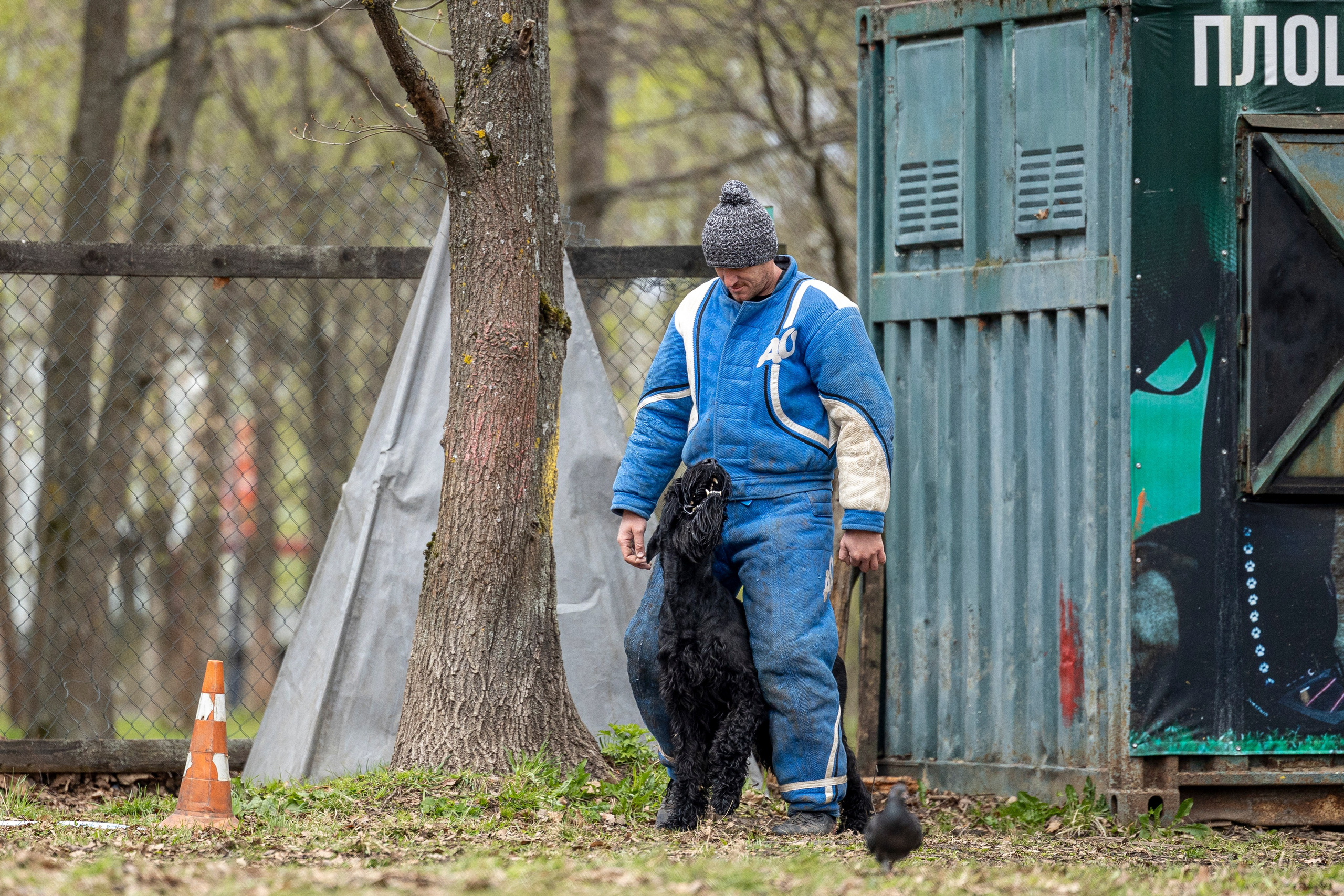 Квалификационные состязания по мондьорингу г. Вологда 11.05.24. Фотограф-анималист Анна Маринич