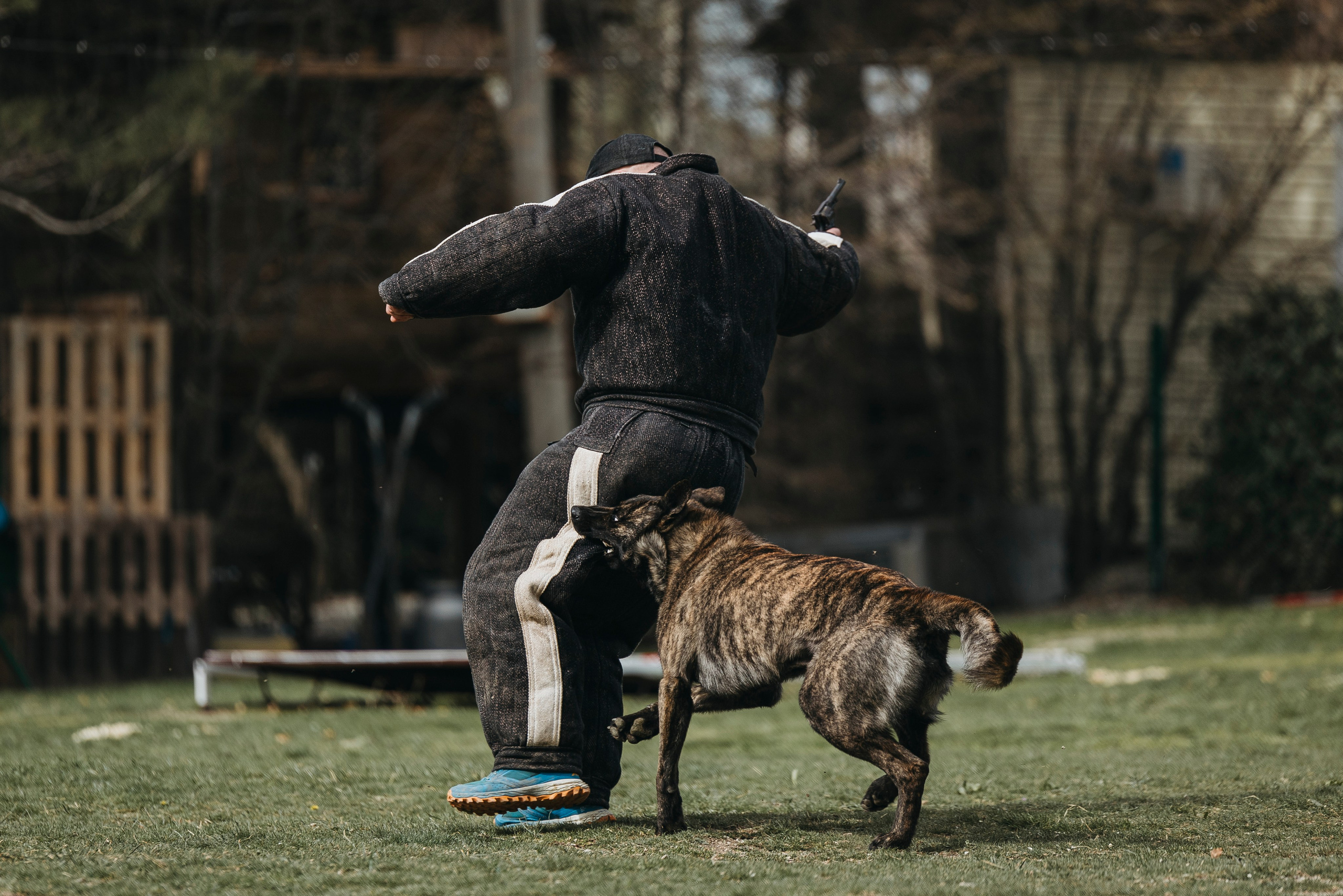 Геленджик Мондьоринг. Фотограф-анималист Анна Маринич