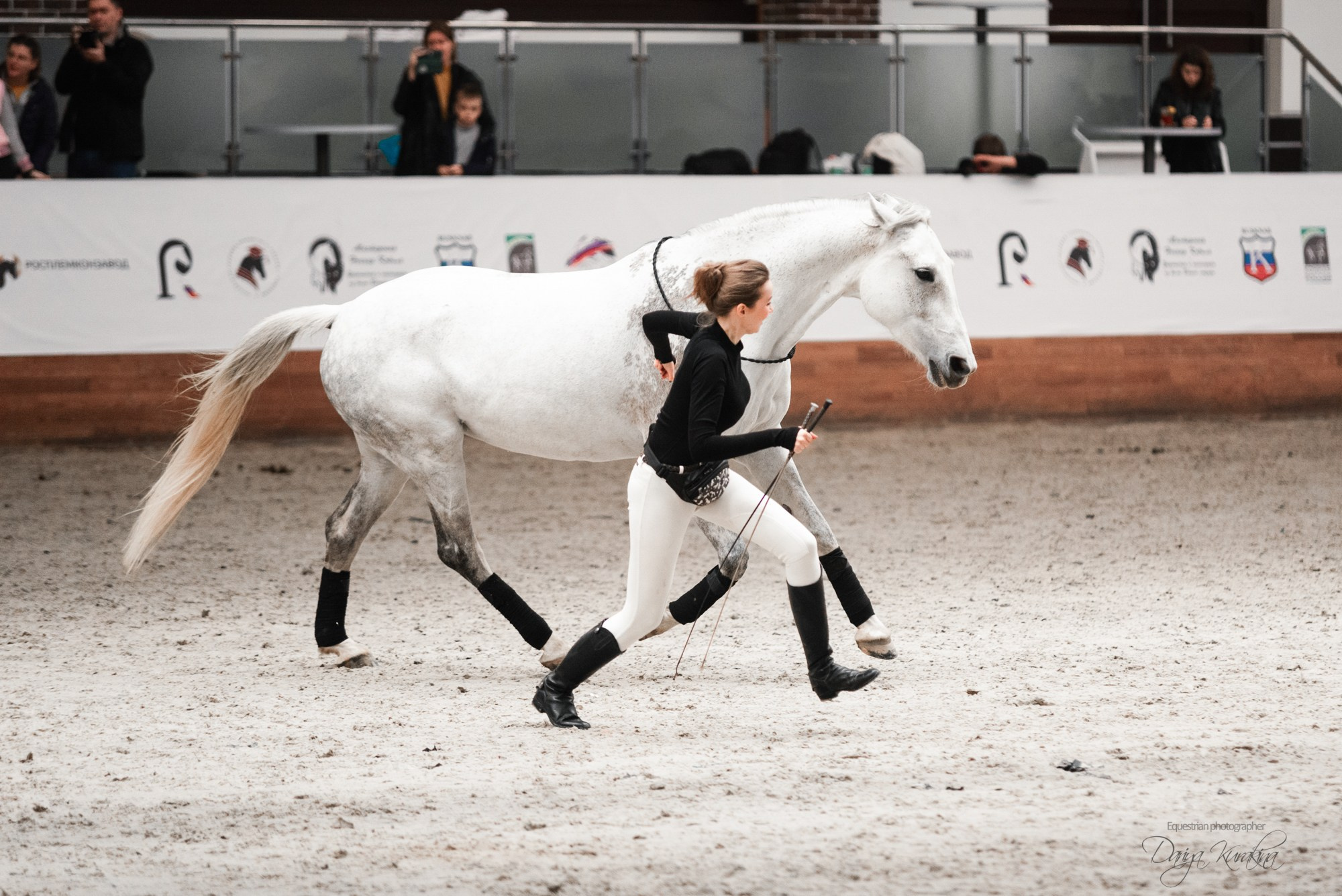 8-я международная выставка Конная Россия. Конный фотограф Куракина Дарья • Фотосессии с лошадьми