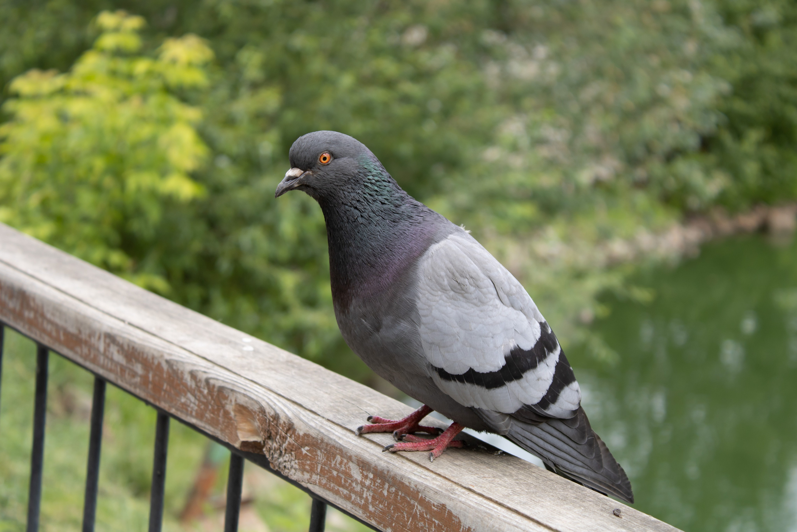Вдохновение. Бутакова Елена фотограф в Екатеринбурге