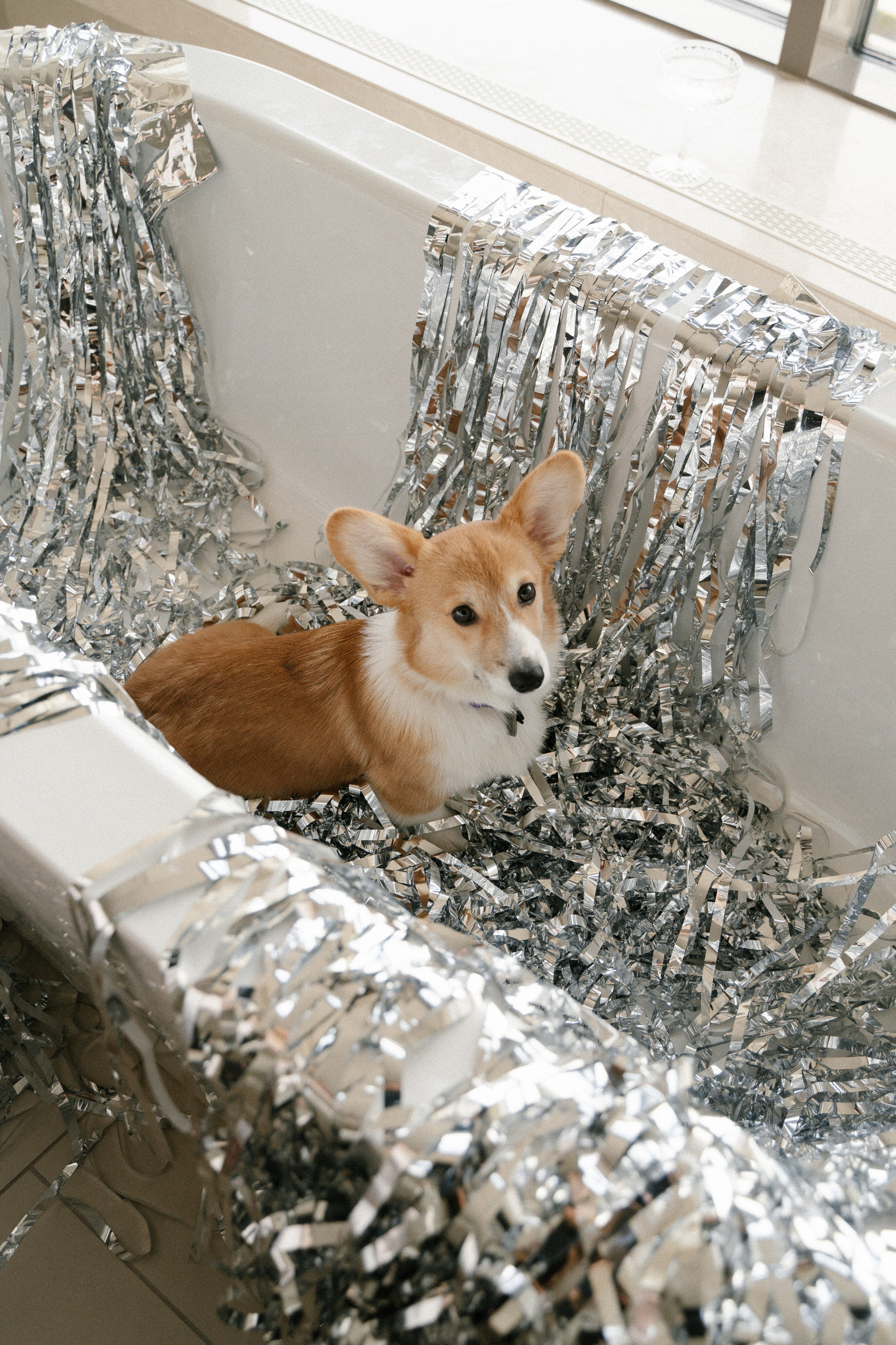 Вегас. Главная