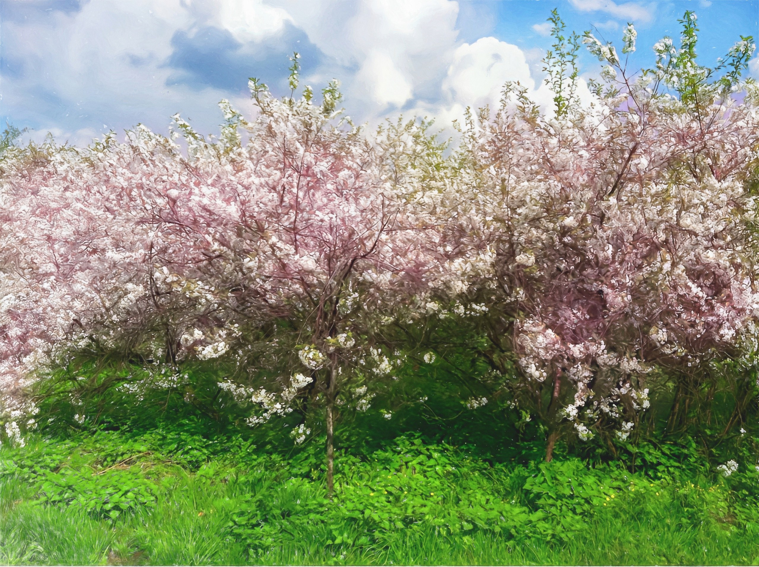 ПРИРОДА. Слепки времени. Фотографии природы и событий. Москва. Сергей Аллагулов