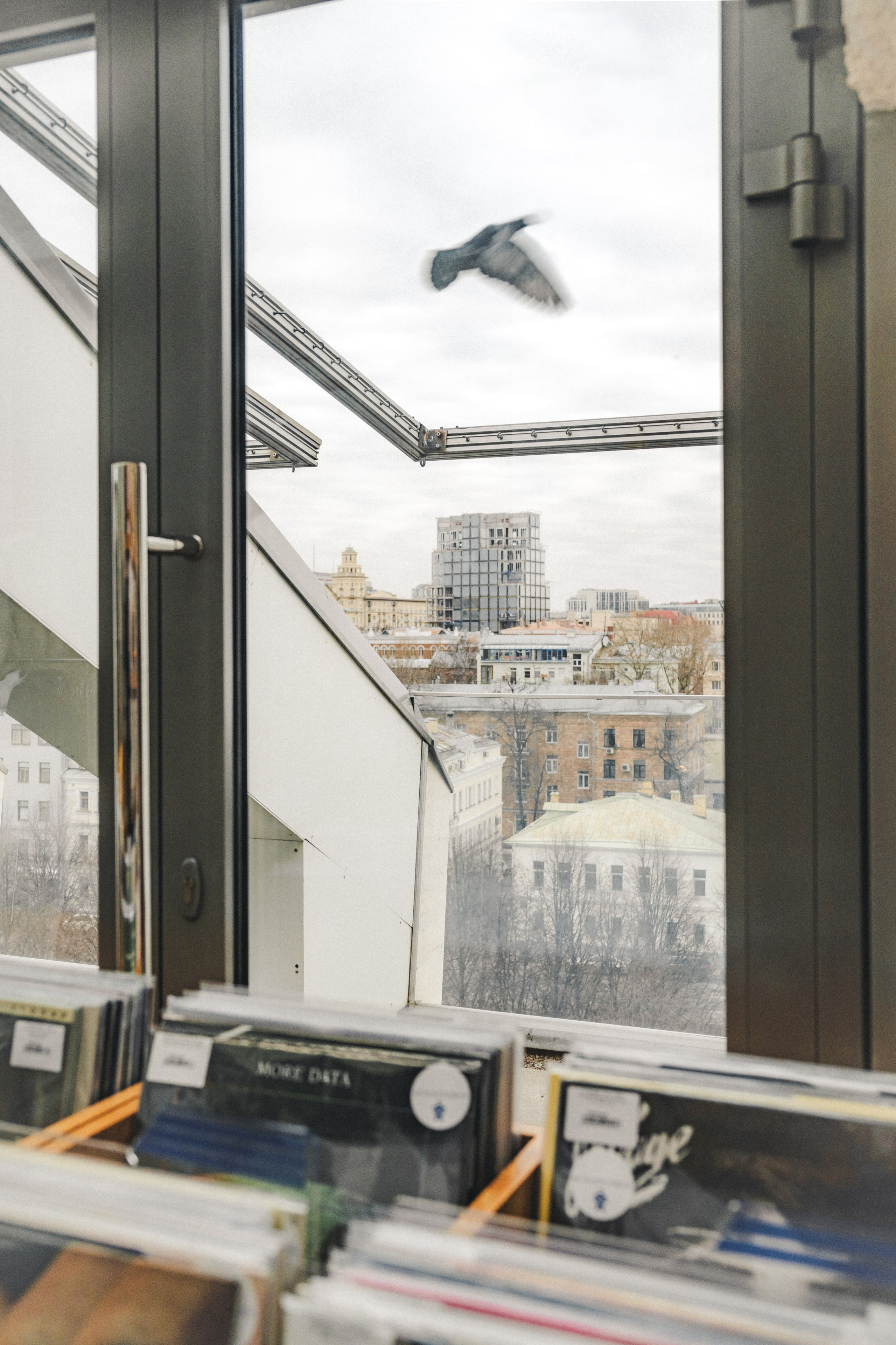 Found Record Store & Pizzeria. Фотограф Илья К. в Москве