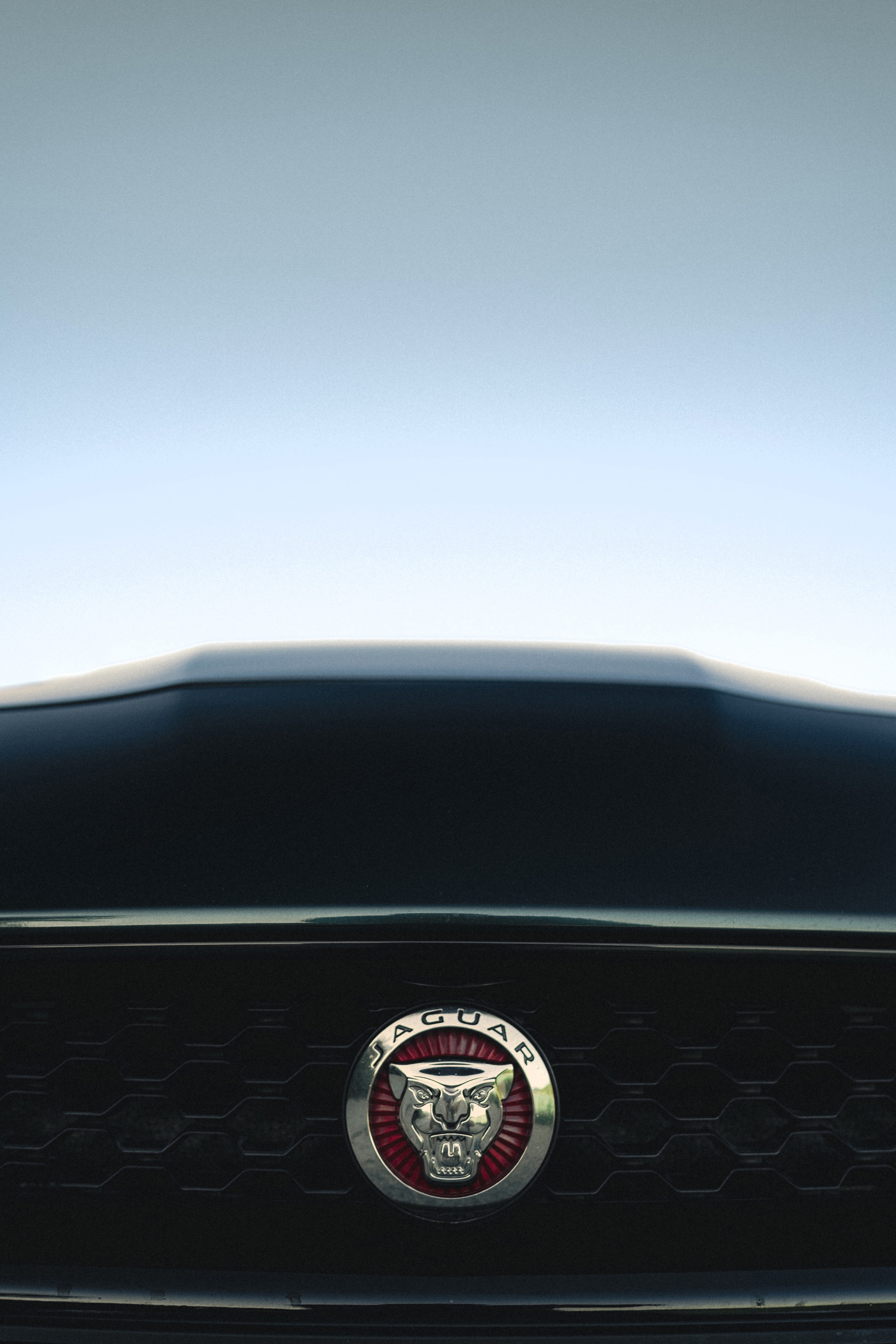 Jaguar F-type S x Egor. Фотограф Илья К. в Москве