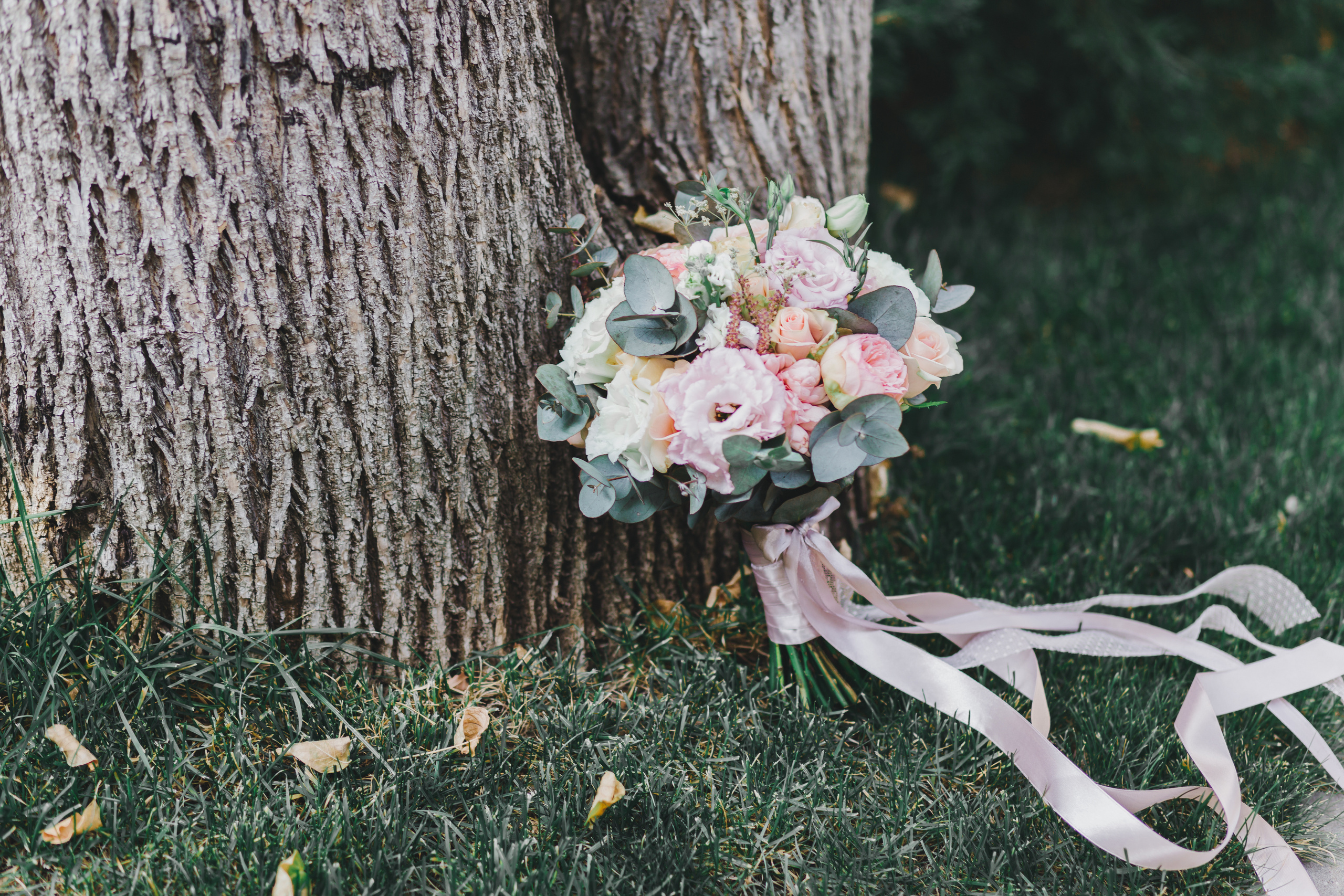 Романтика. Виталий Москальцов