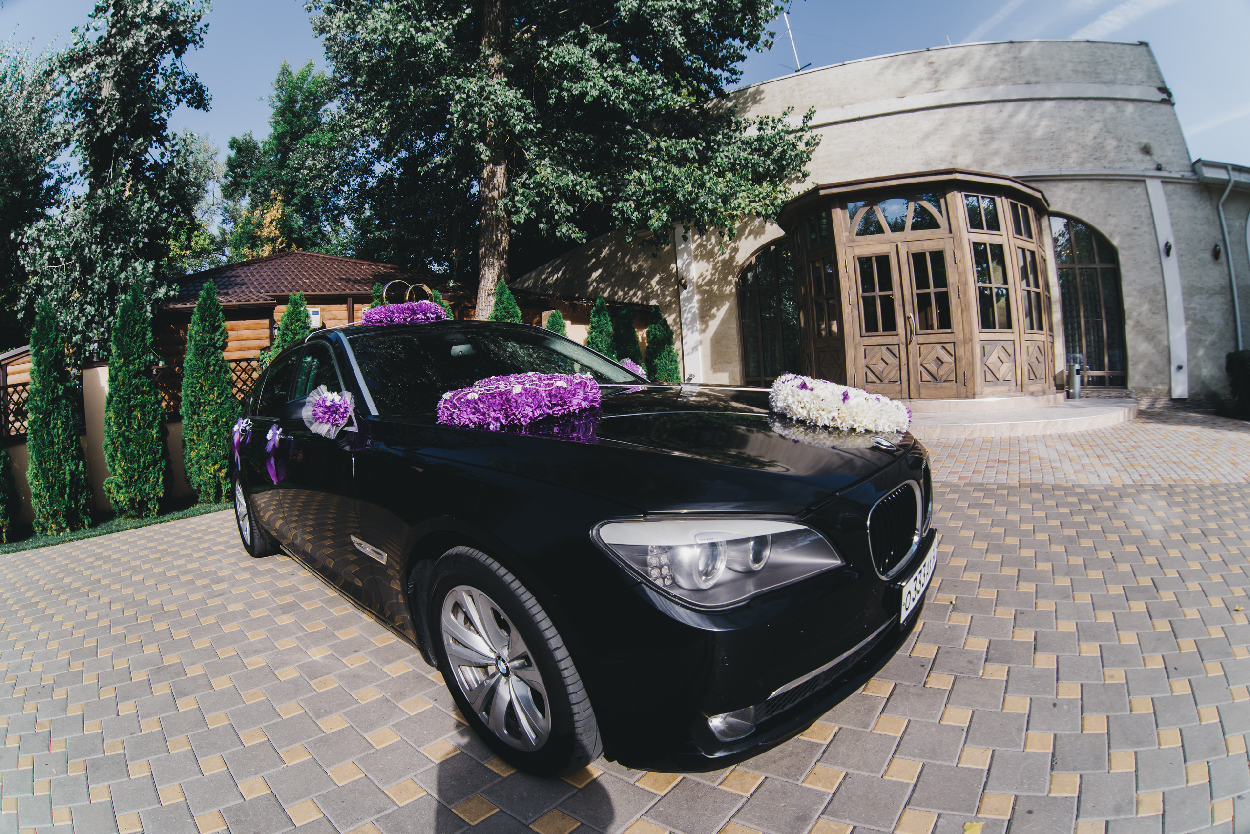 Романтика. Виталий Москальцов