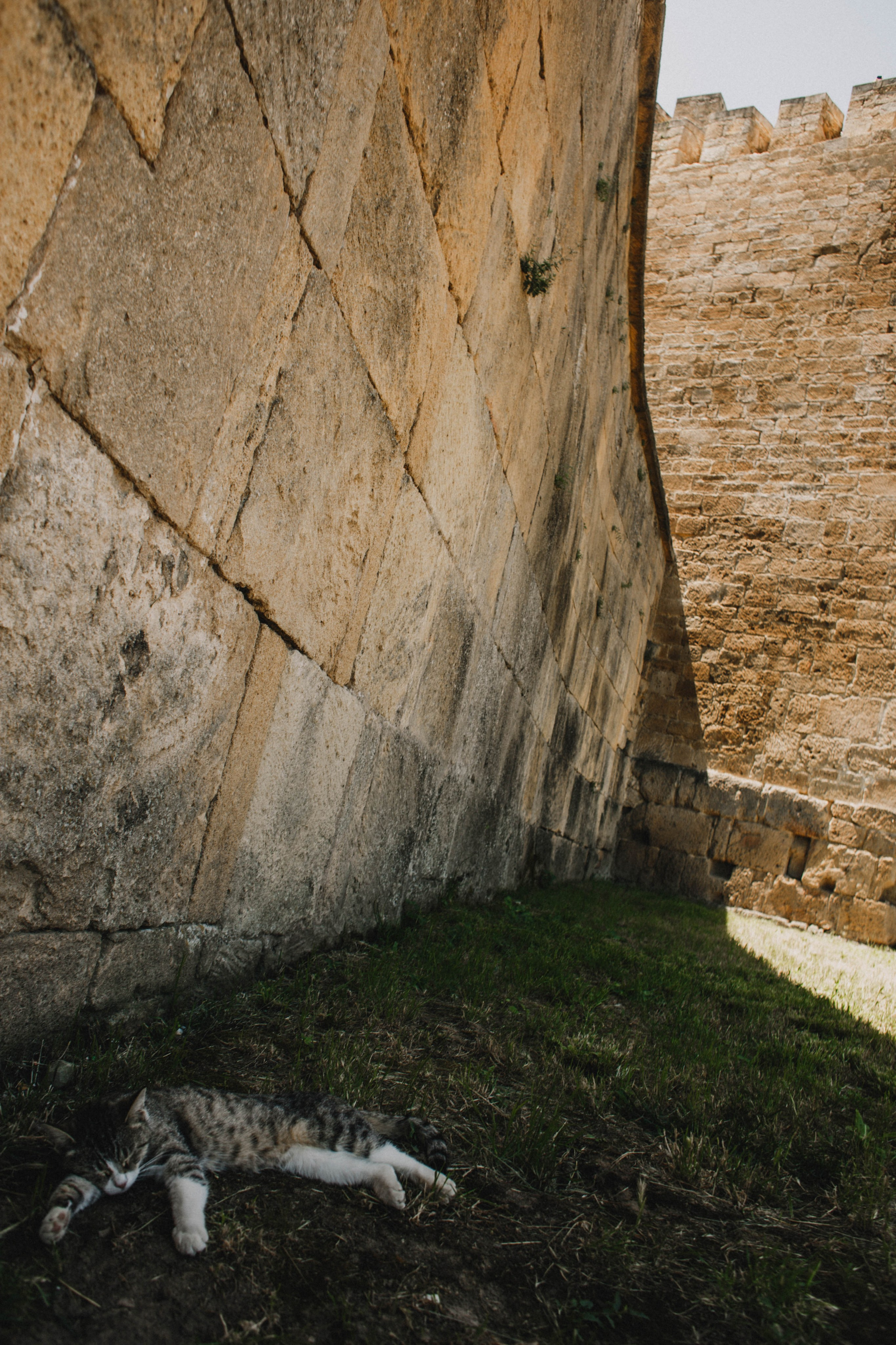 Дагестан. Чечня. 2024. Фотограф в Нижнем Новгороде