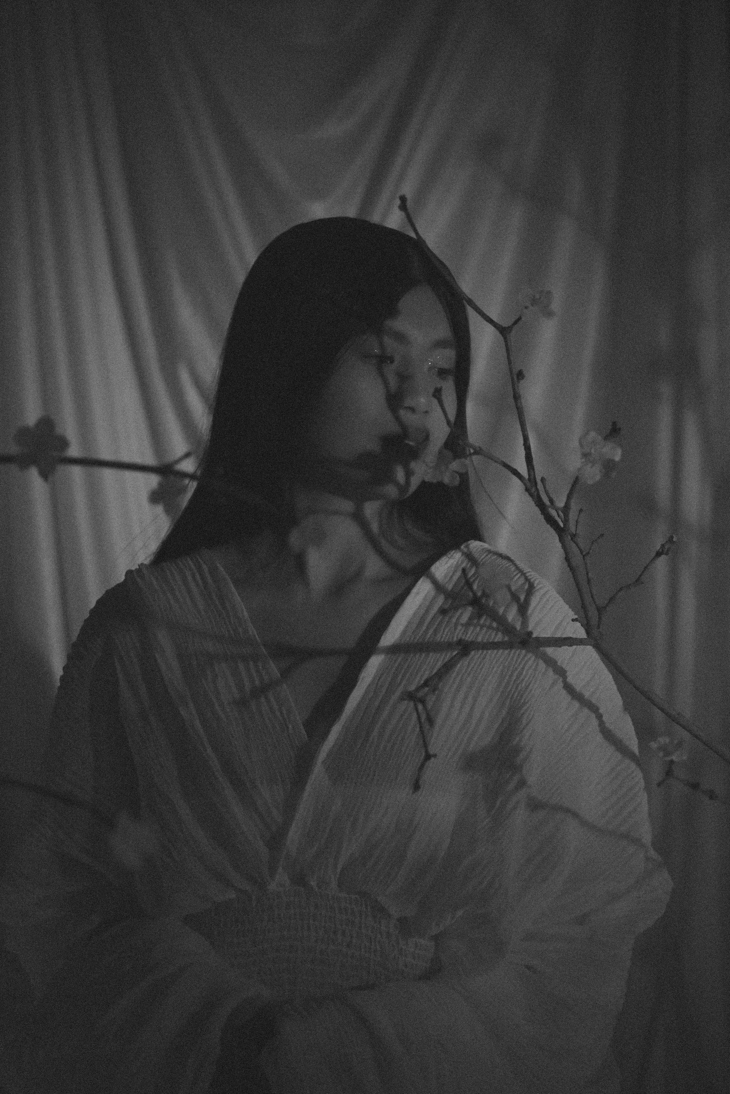 Сакура. Ваш фотограф