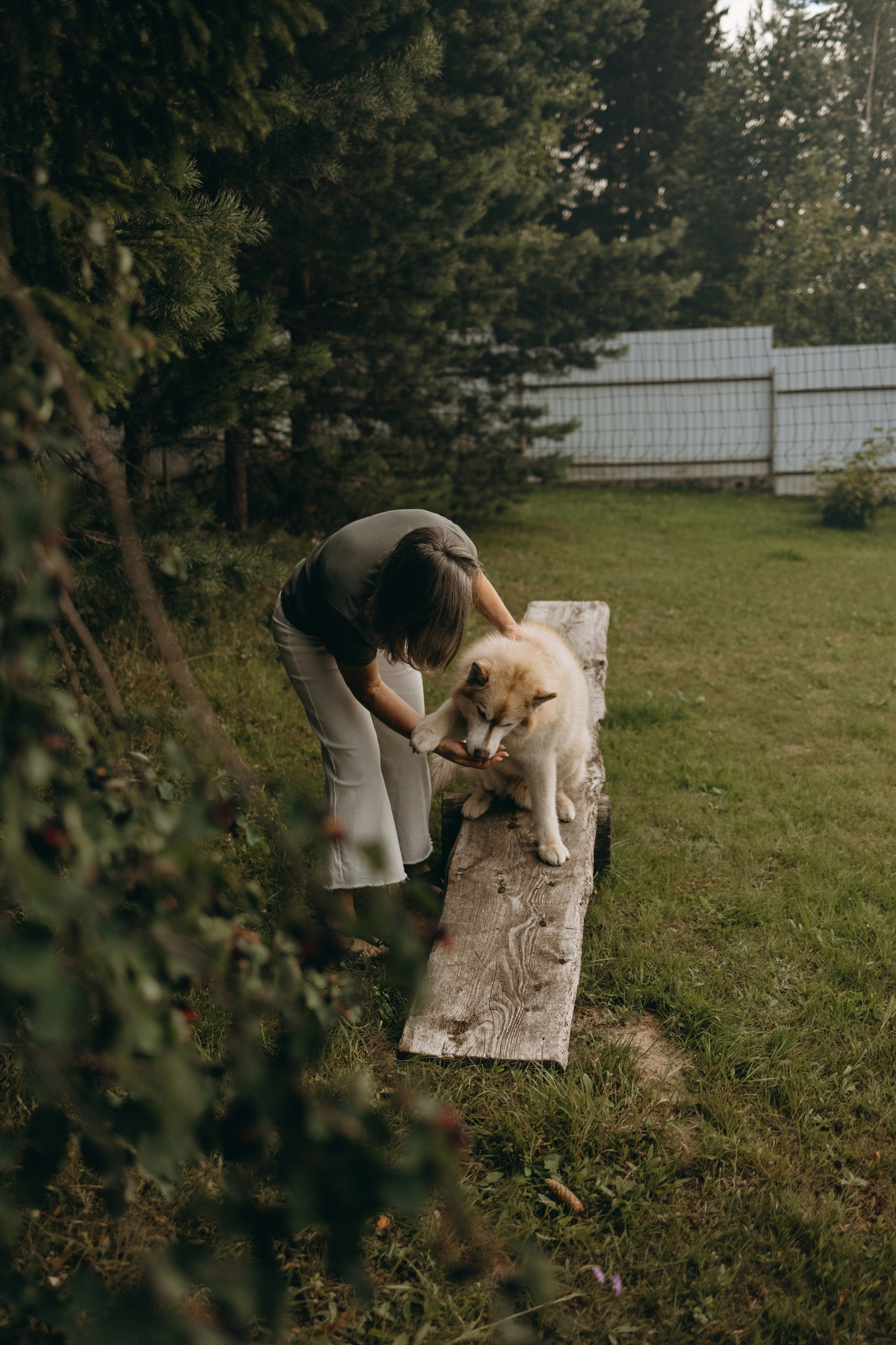 Дом у реки. Фотограф — Анималист | Санкт-Петербург