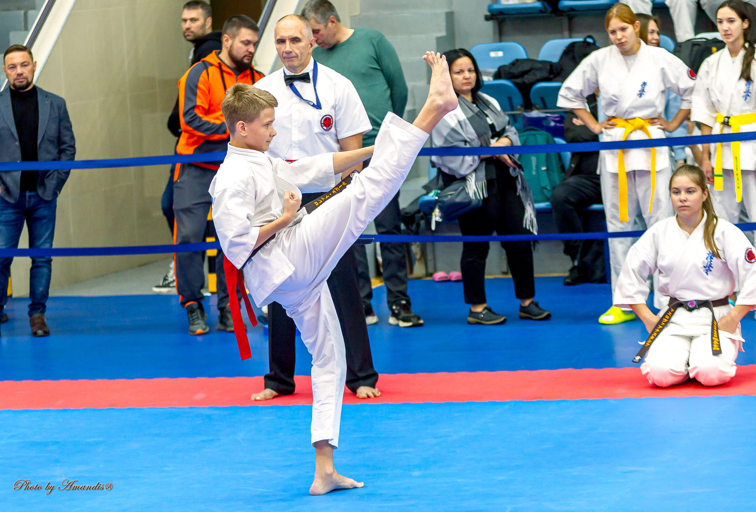 Чемпионат по Киокушинкай Центрального Федерального округа. Репортажная съемка в Москве и области. Анималистика