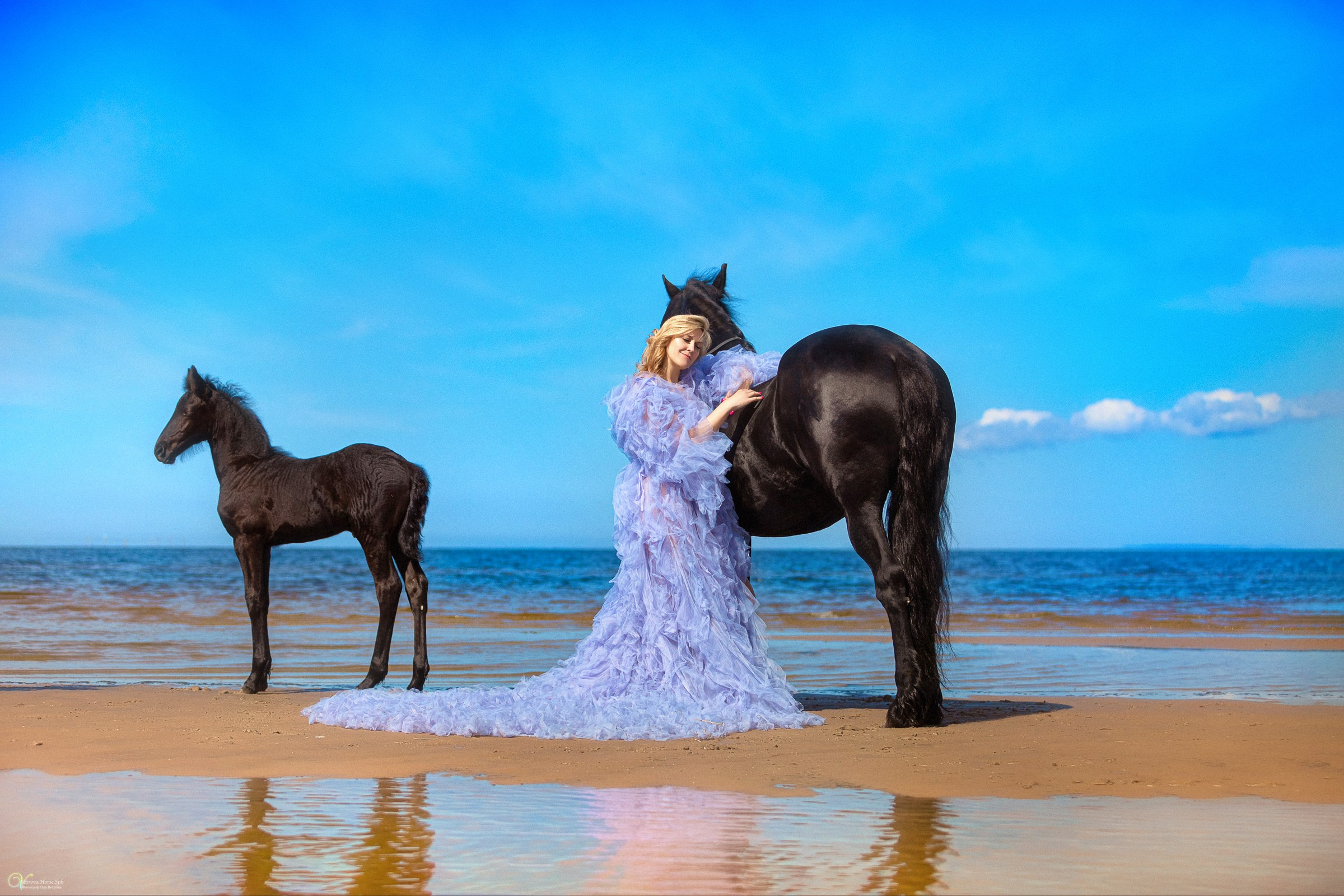 Фотосессия в воздушном платье, девушка в длинном платье на заливе с лошадьми