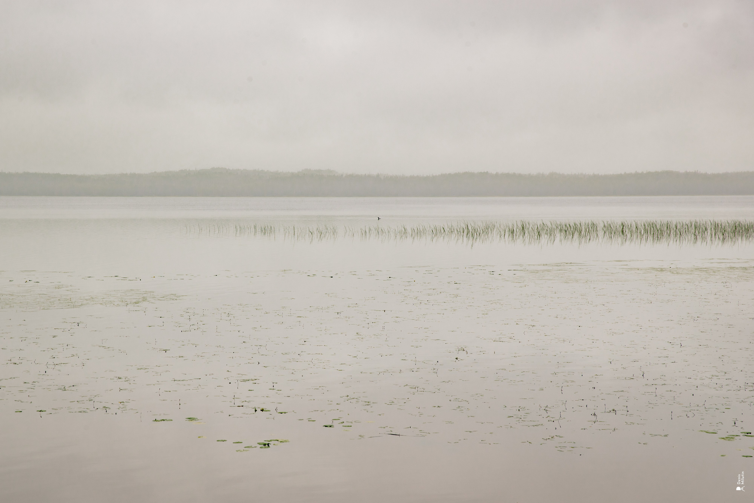 Женский Митрофаниевский скит Важеозерского мужского монастыря. Портретный фотограф Денис Милютин