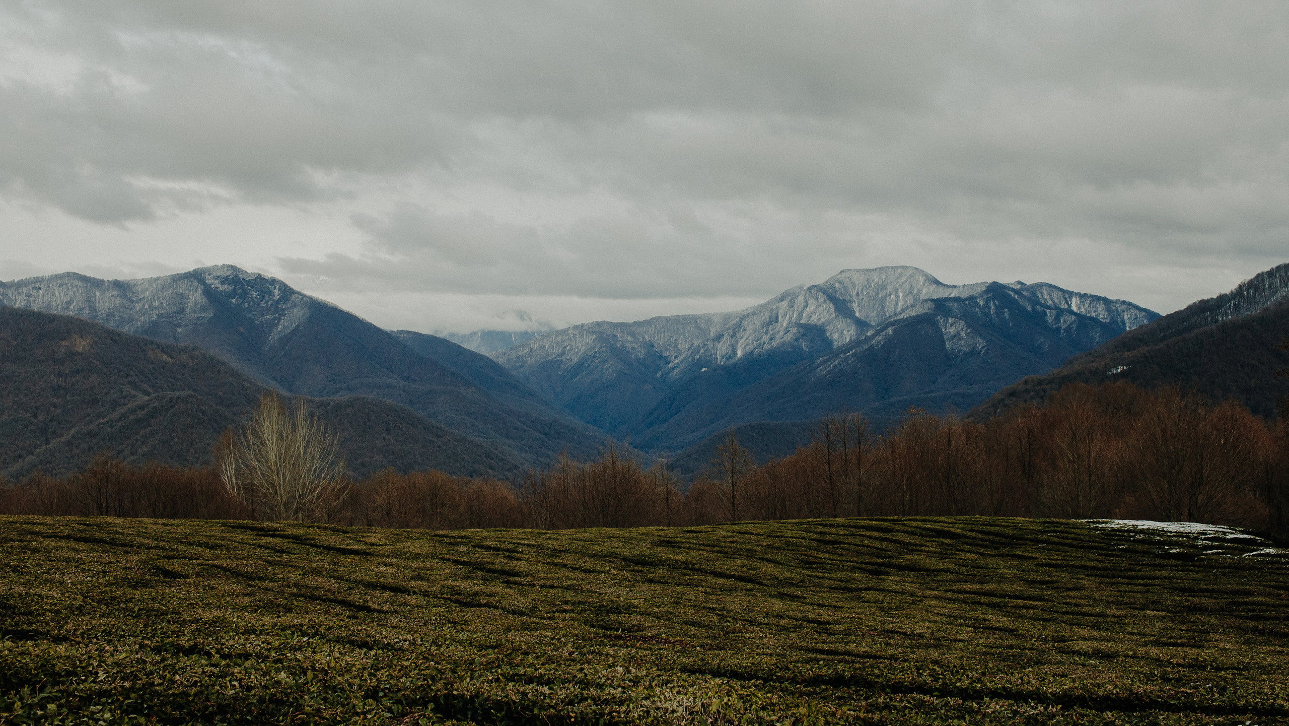MARINA & OLEG. Фотограф Анна Гребенник