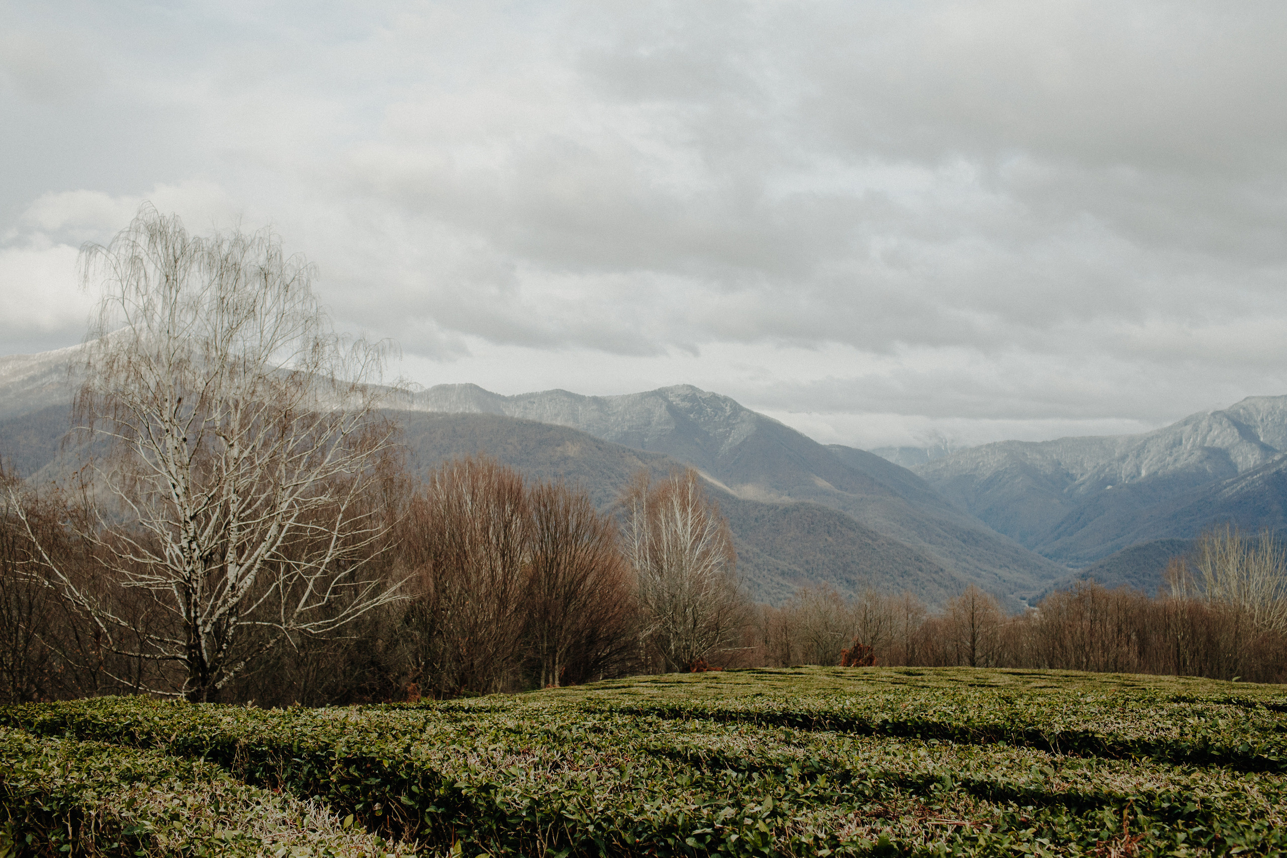 MARINA & OLEG. Фотограф Анна Гребенник