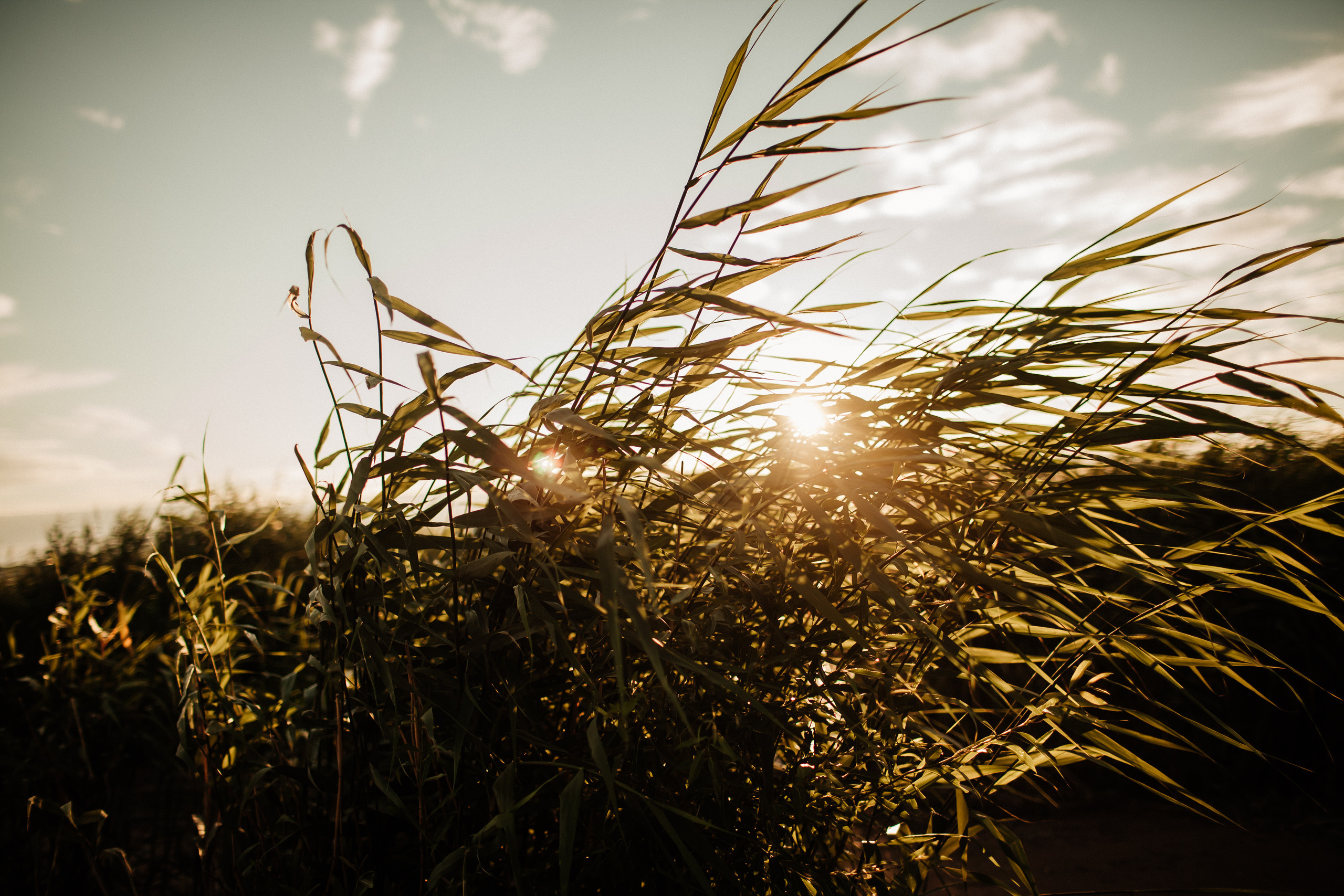 EVGENII & NATALI. Фотограф Анна Гребенник