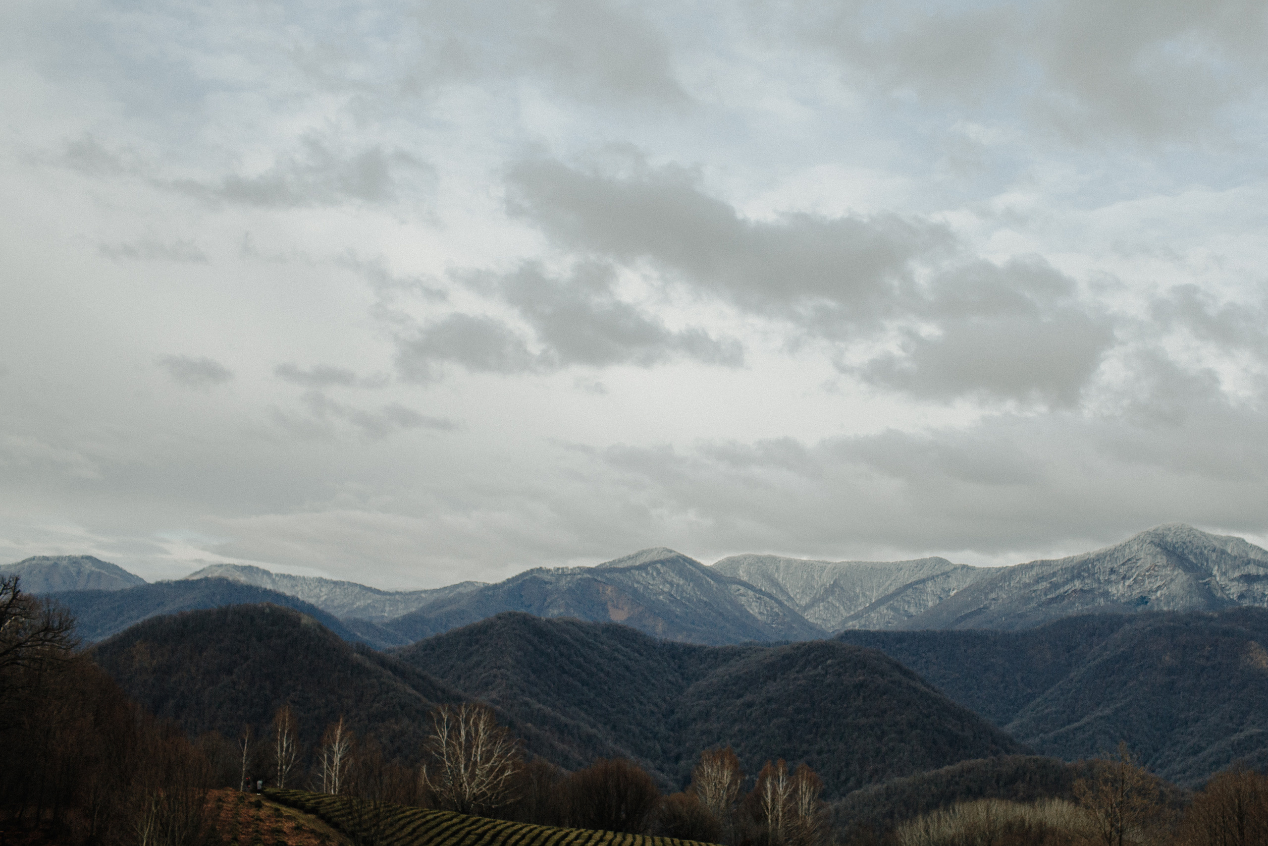 MARINA & OLEG. Фотограф Анна Гребенник