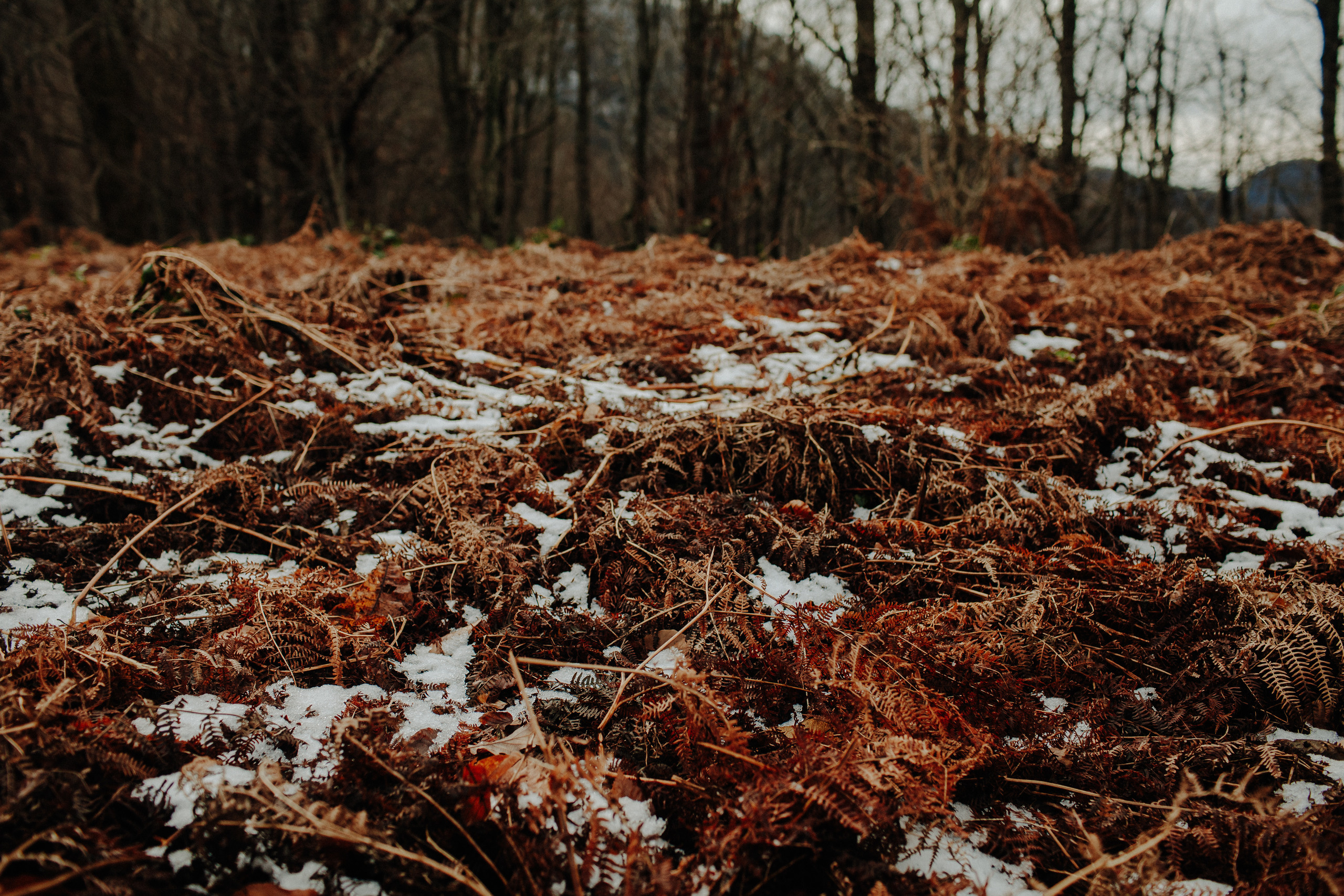 MARINA & OLEG. Фотограф Анна Гребенник
