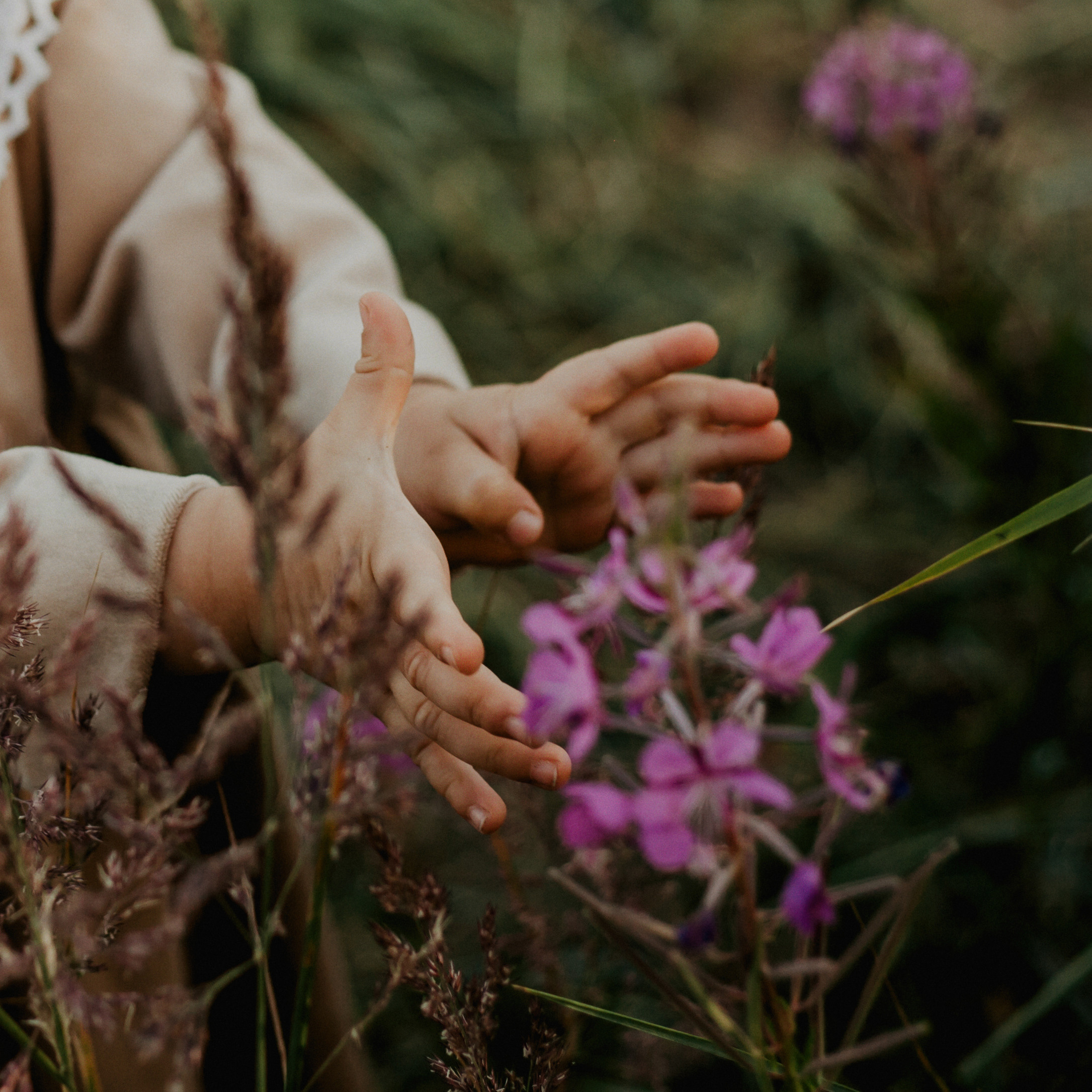 Солнечный зайчик. Фотограф Анна Гребенник