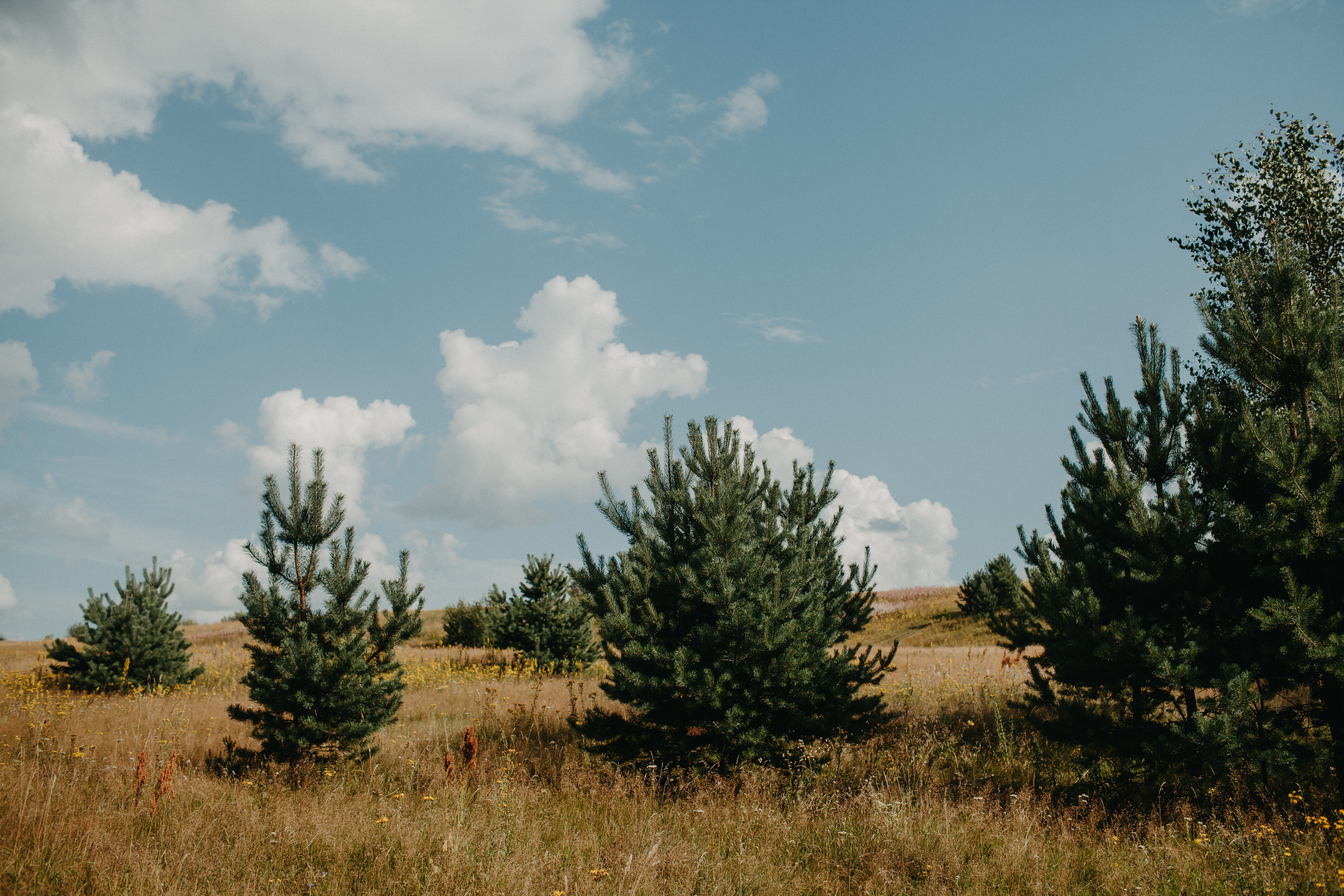 ILYA & SVETA. Фотограф Анна Гребенник